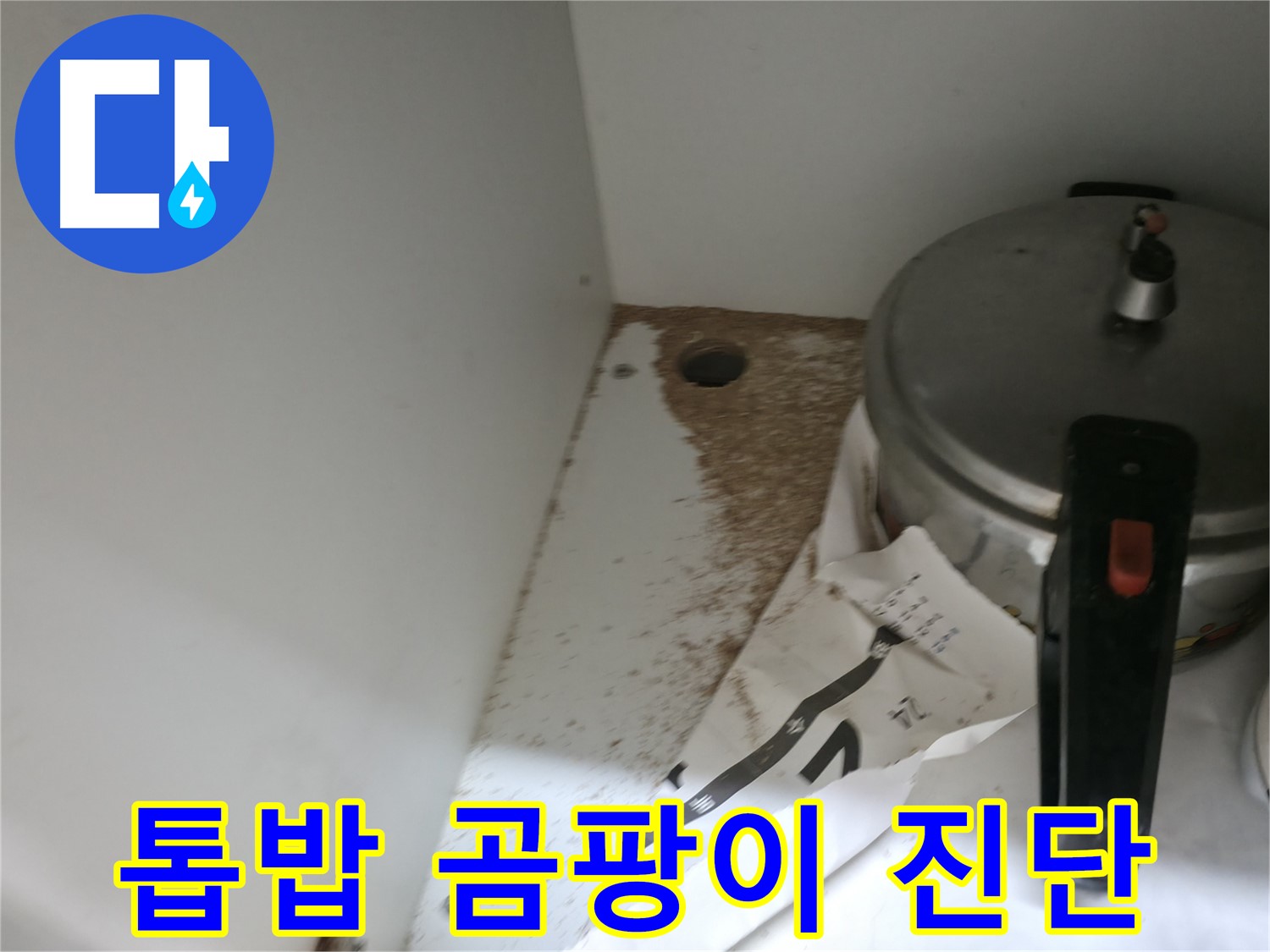 서초2동 싱크대 누수 - 톱밥과 곰팡이 발생 원인 꼼꼼 진단
