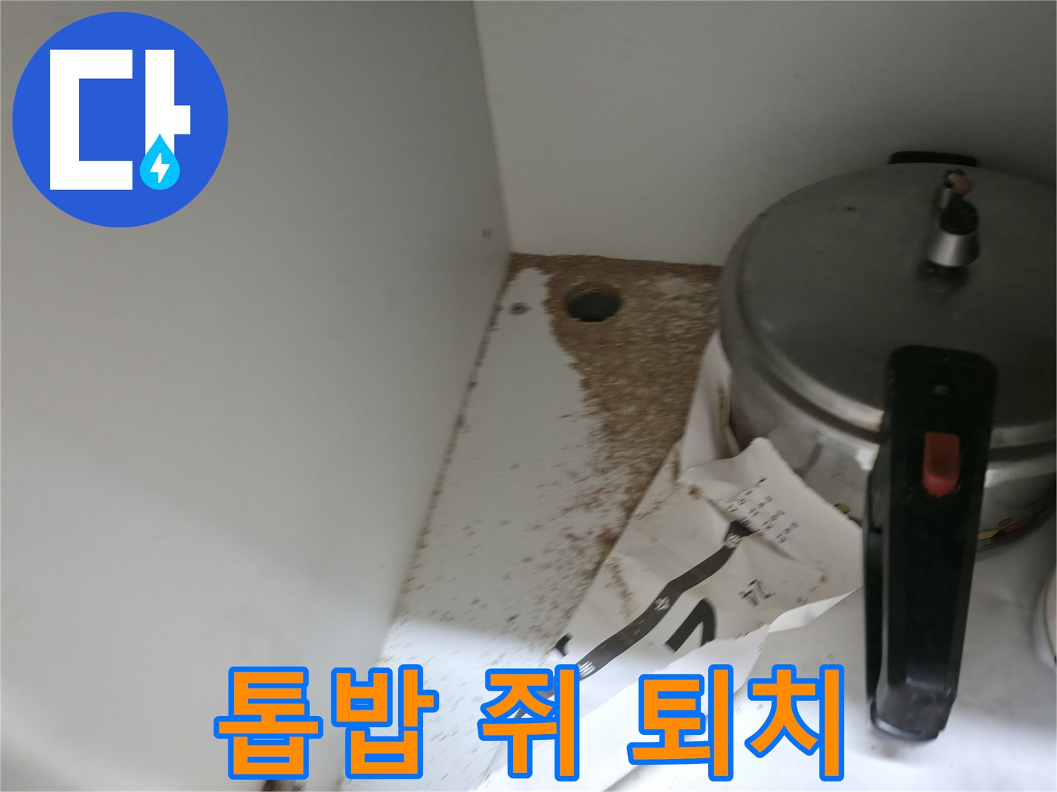 싱크대 누수 - 톱밥 - 베테랑 기술자 - 직접 해결