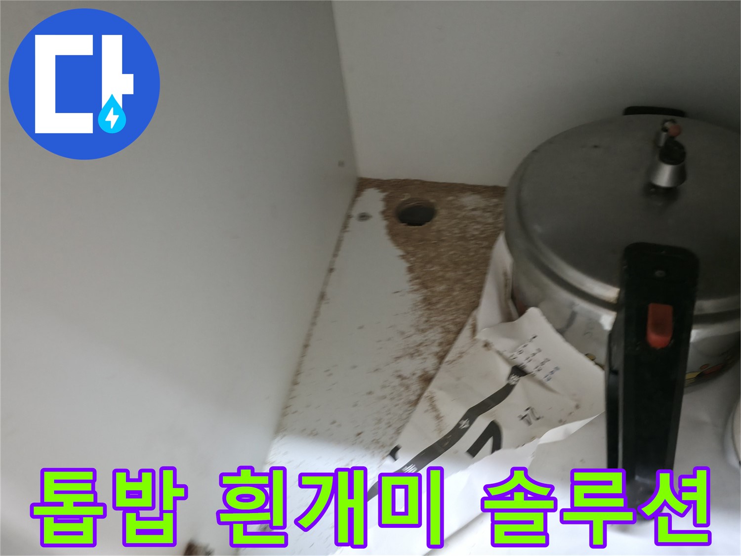 싱크대 밑 - 톱밥 - 전기 합선 위험 - 안전 점검 필수