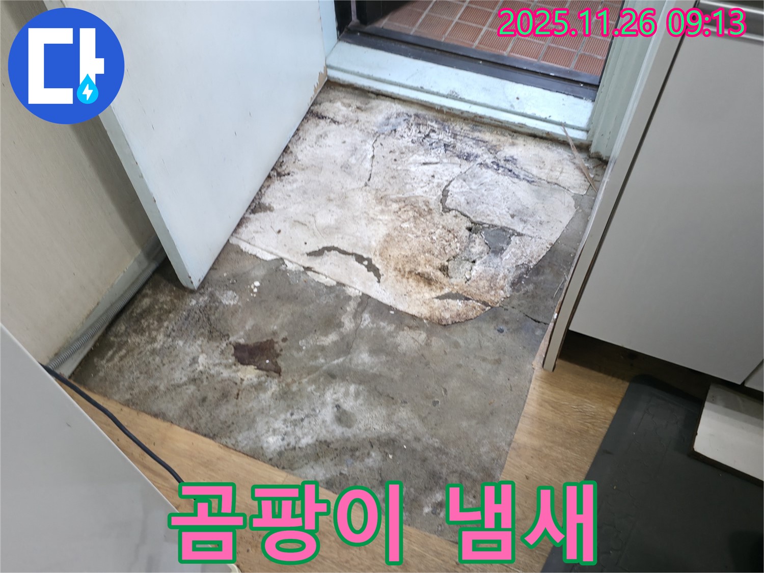 서초구 명달로4길 현관 바닥 곰팡이 냄새 - 숨겨진 누수 의심, 곰팡이 제거 및 악취 제거