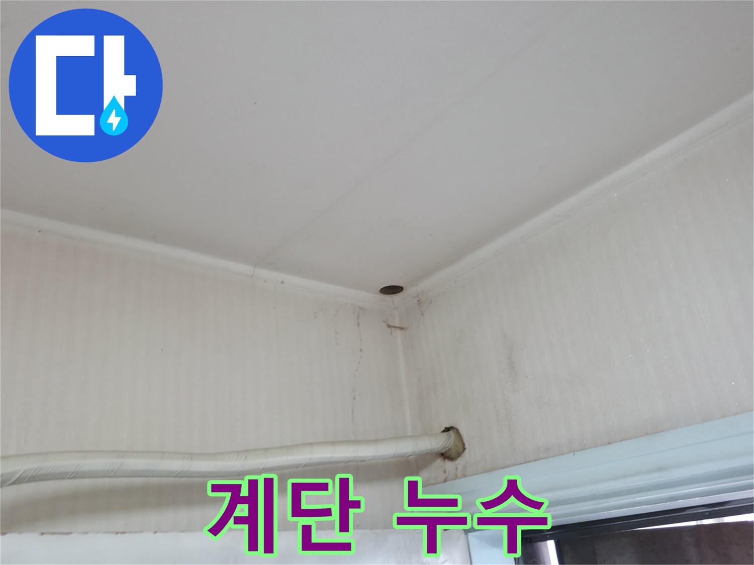 서초구 서초동 누수 - 벽에 핀 곰팡이는 건강을 위협하는 누수의 신호일 수 있습니다.