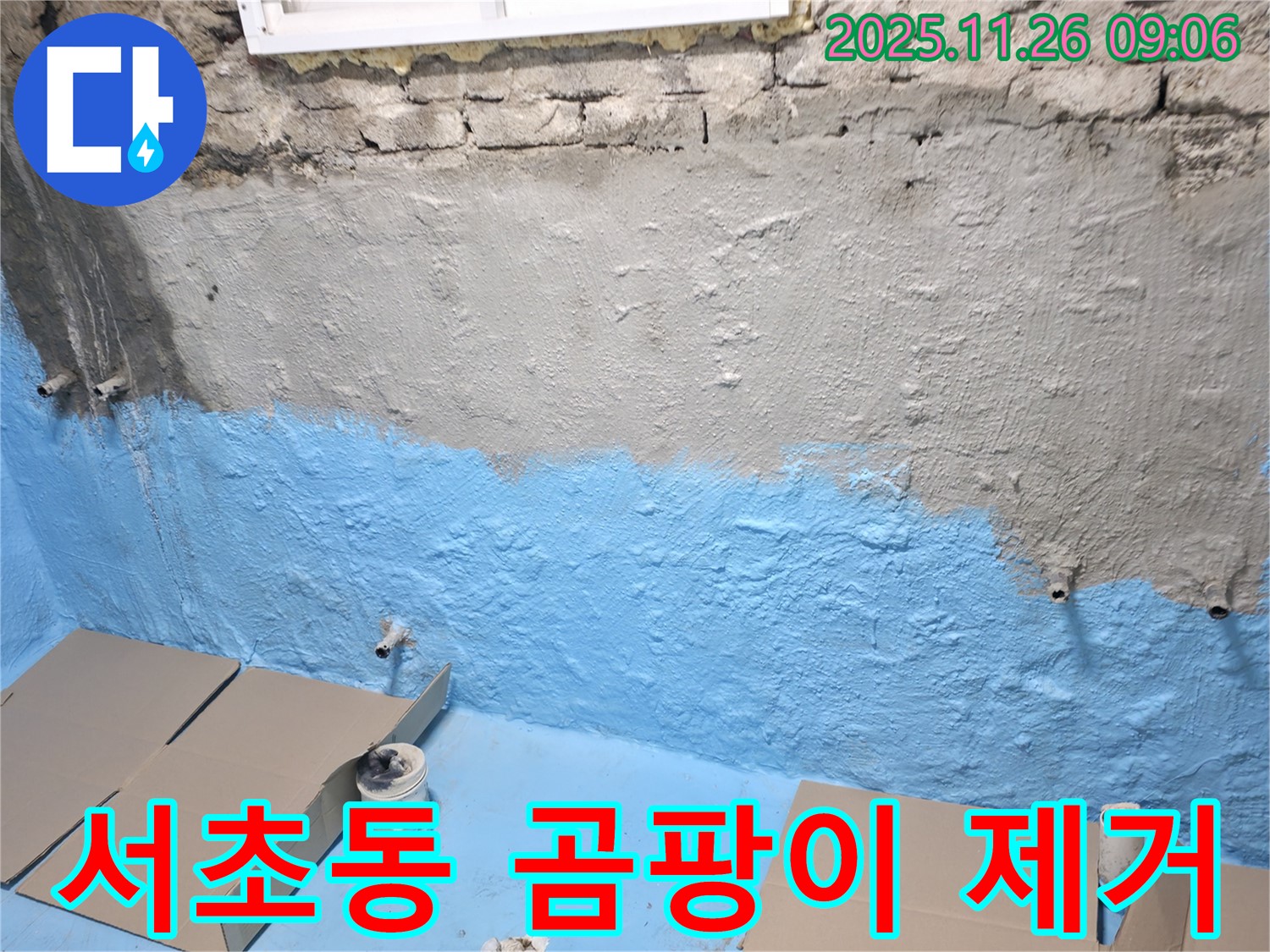 서초구 서초동 누수 - 곰팡이 냄새 제거! 쾌적한 실내 환경!