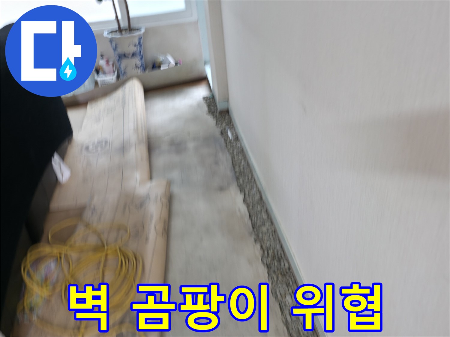 서초동 명달로4길 장판 밑 곰팡이 제거 - 쾌적한 공간을 완성해 드립니다!