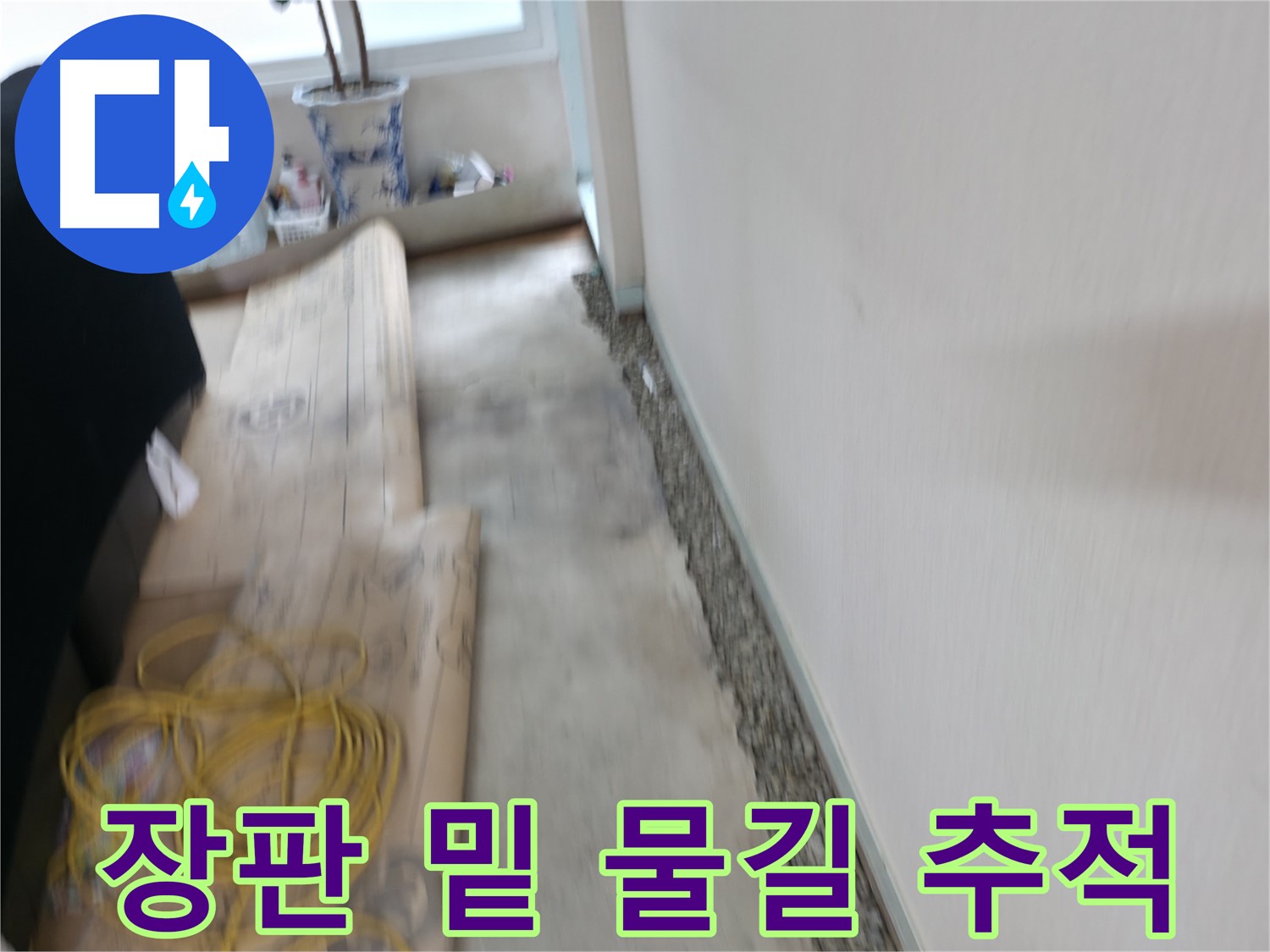 서초구 서초2동 바닥 틈새 곰팡이 제거 - 쾌적한 보금자리를 만들어 드립니다!