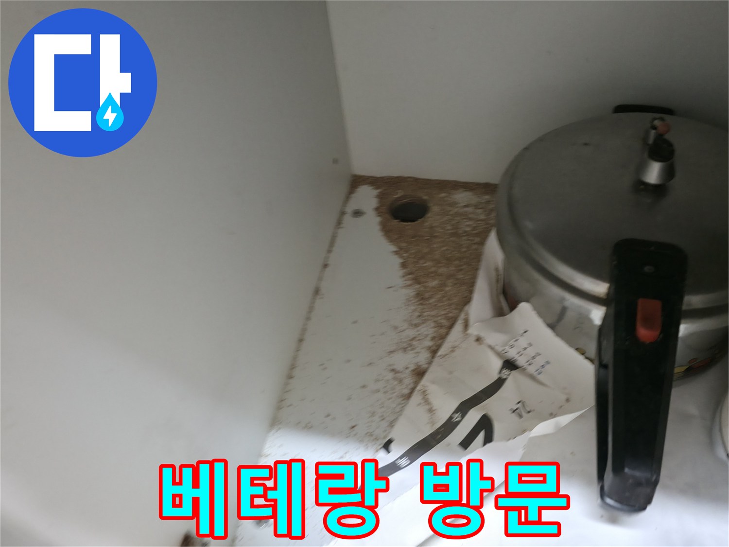 싱크대 누수 - 톱밥 - 베테랑 기술자 - 직접 해결