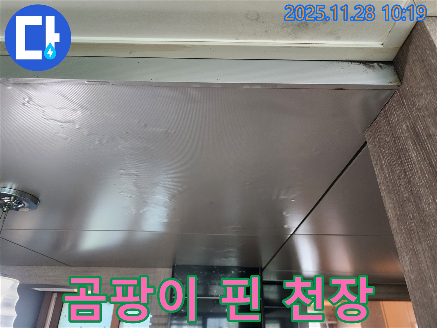곰팡이 핀 천장 - 누수로 인해 곰팡이가 심하게 핀 천장 - 누수 해결과 곰팡이 제거가 시급합니다.