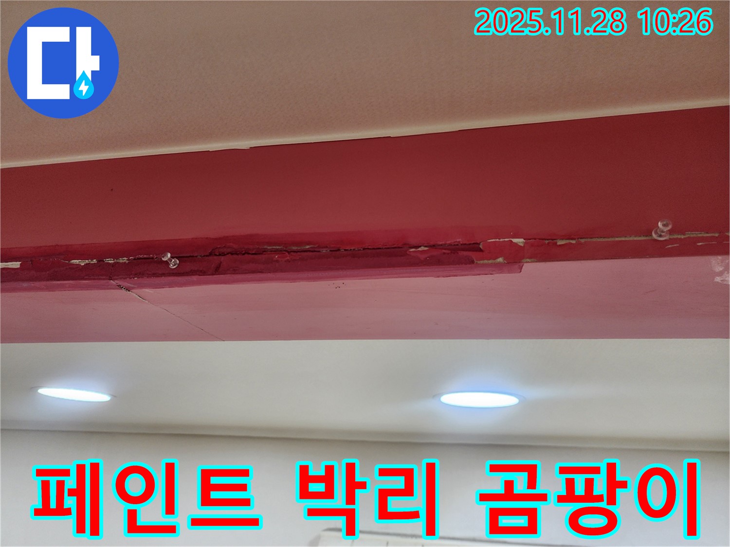 붉은색 천장 페인트 박리 곰팡이 - 누수로 인해 페인트가 떨어져 나가고, 콘크리트 위에 곰팡이가 피어있는 모습입니다.
