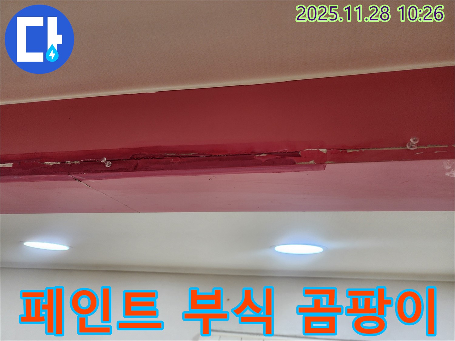 붉은색 천장 페인트 부식 곰팡이 - 누수로 인해 페인트가 화학적으로 부식되고 곰팡이가 심하게 발생하여 건강을 위협하는 모습입니다.