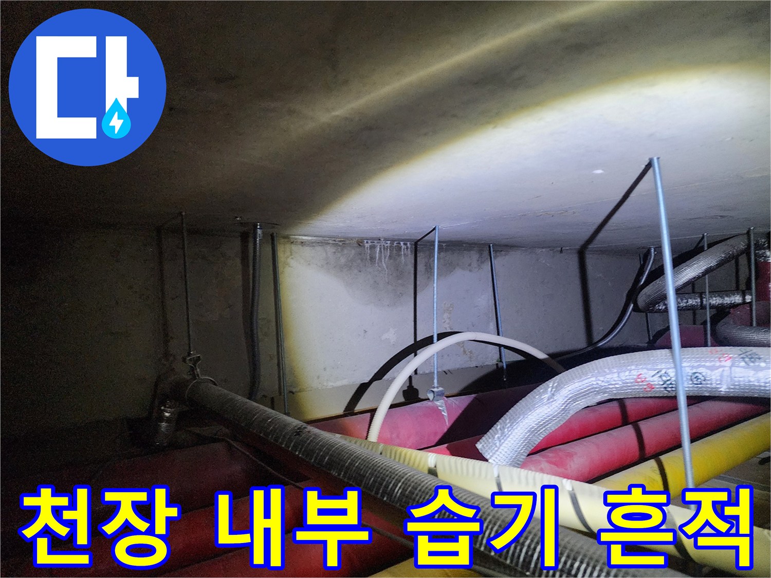 습기가 스며든 듯한 천장 벽면과 배관 구조물