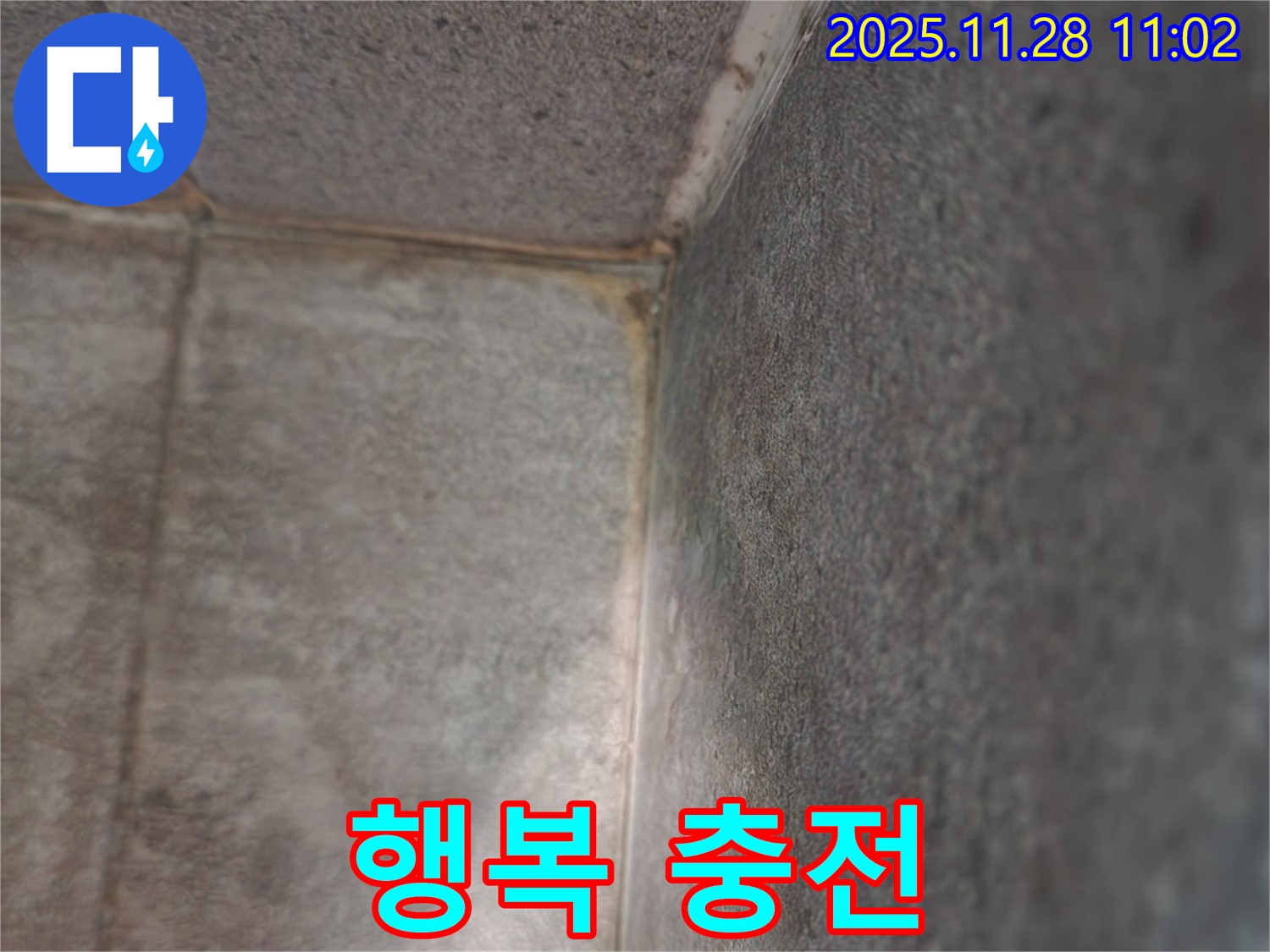 신북면 금동리 욕실 누수 - 곰팡이와 작별, 깨끗한 욕실 행복 충전
