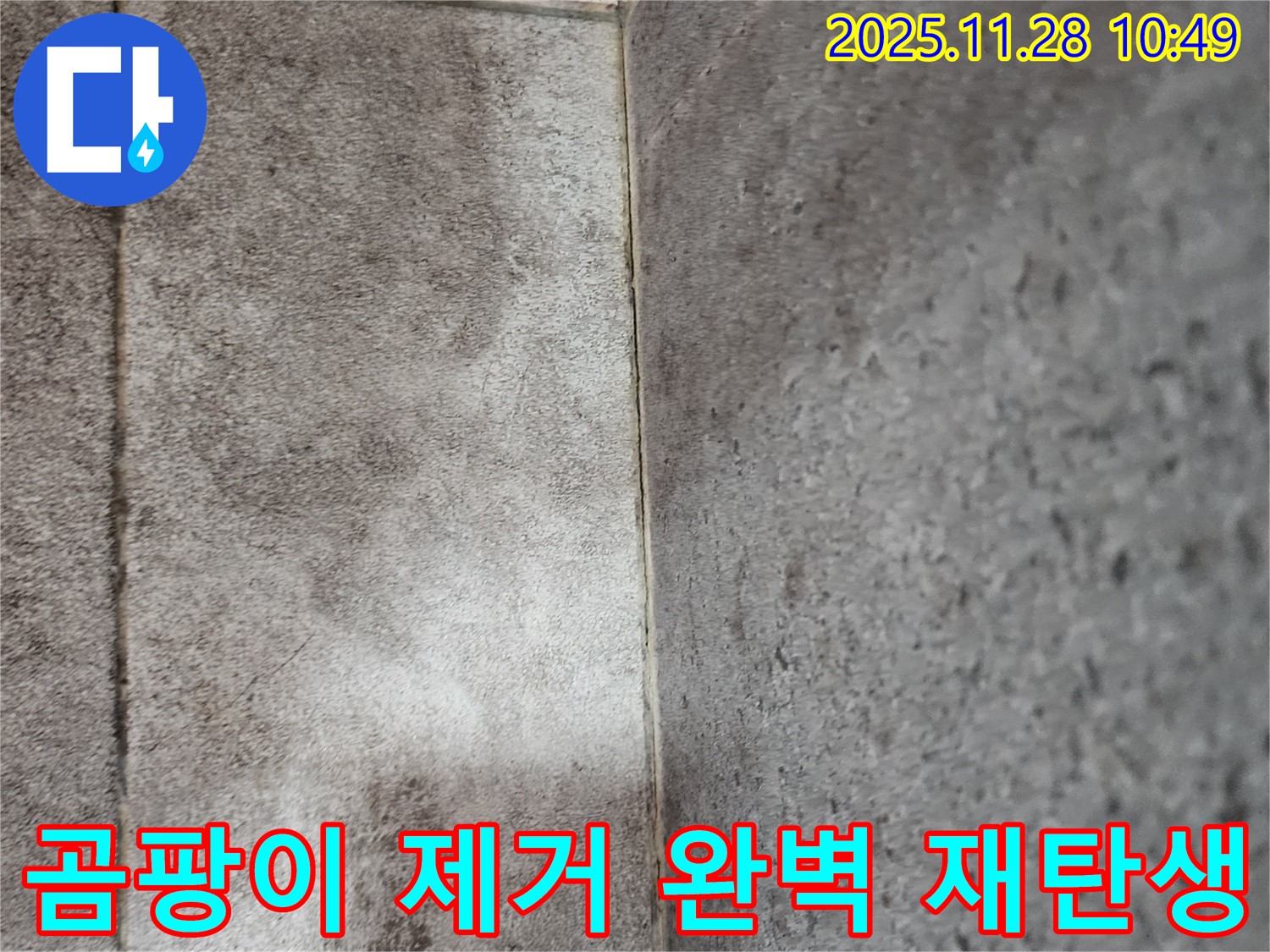 신북면 욕실 곰팡이 누수 - 곰팡이 제거 전문가의 완벽한 시공으로 재탄생!