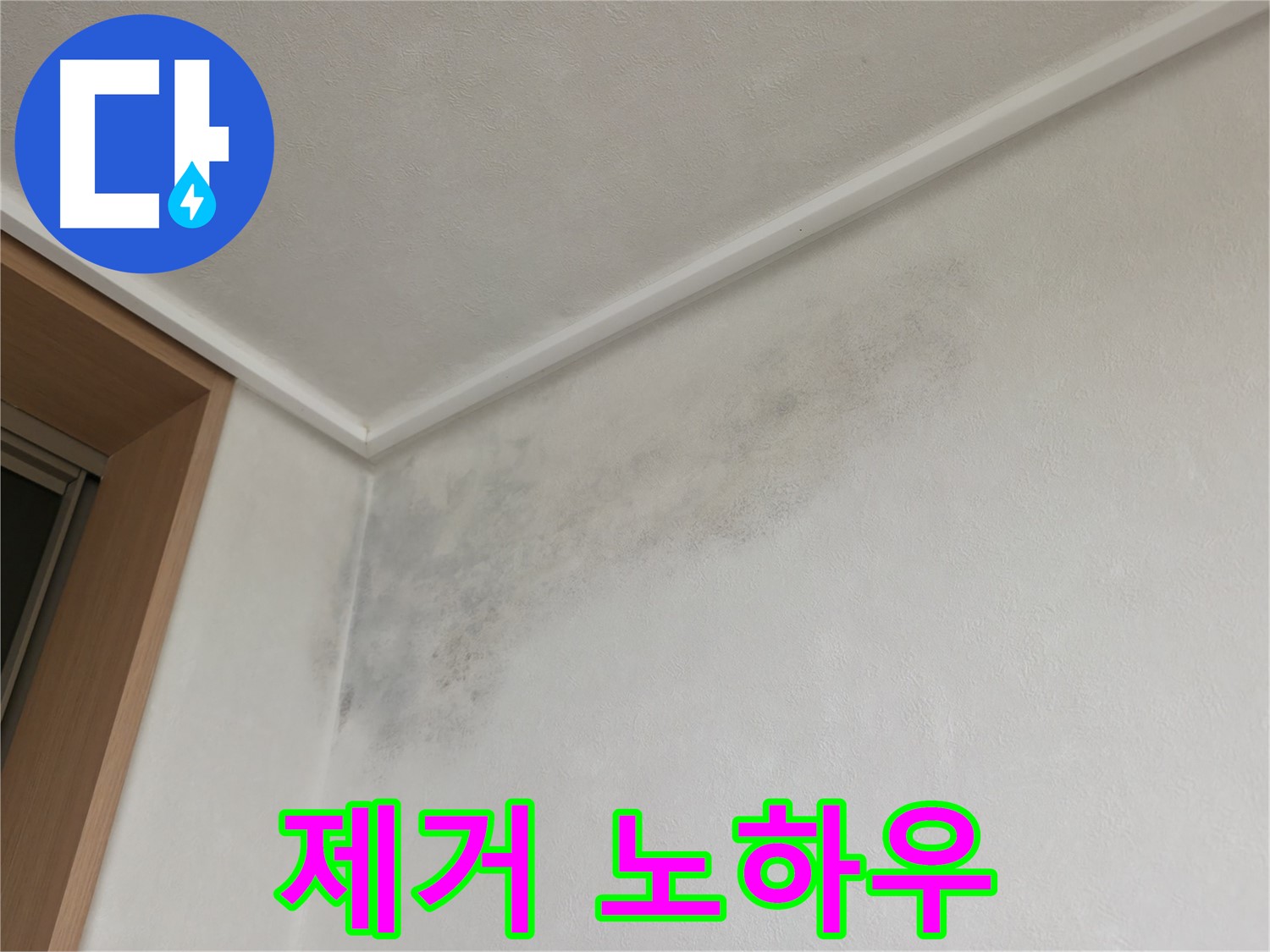 기흥역 더퍼스트푸르지오 누수 - 곰팡이 완벽 제거 노하우 공개