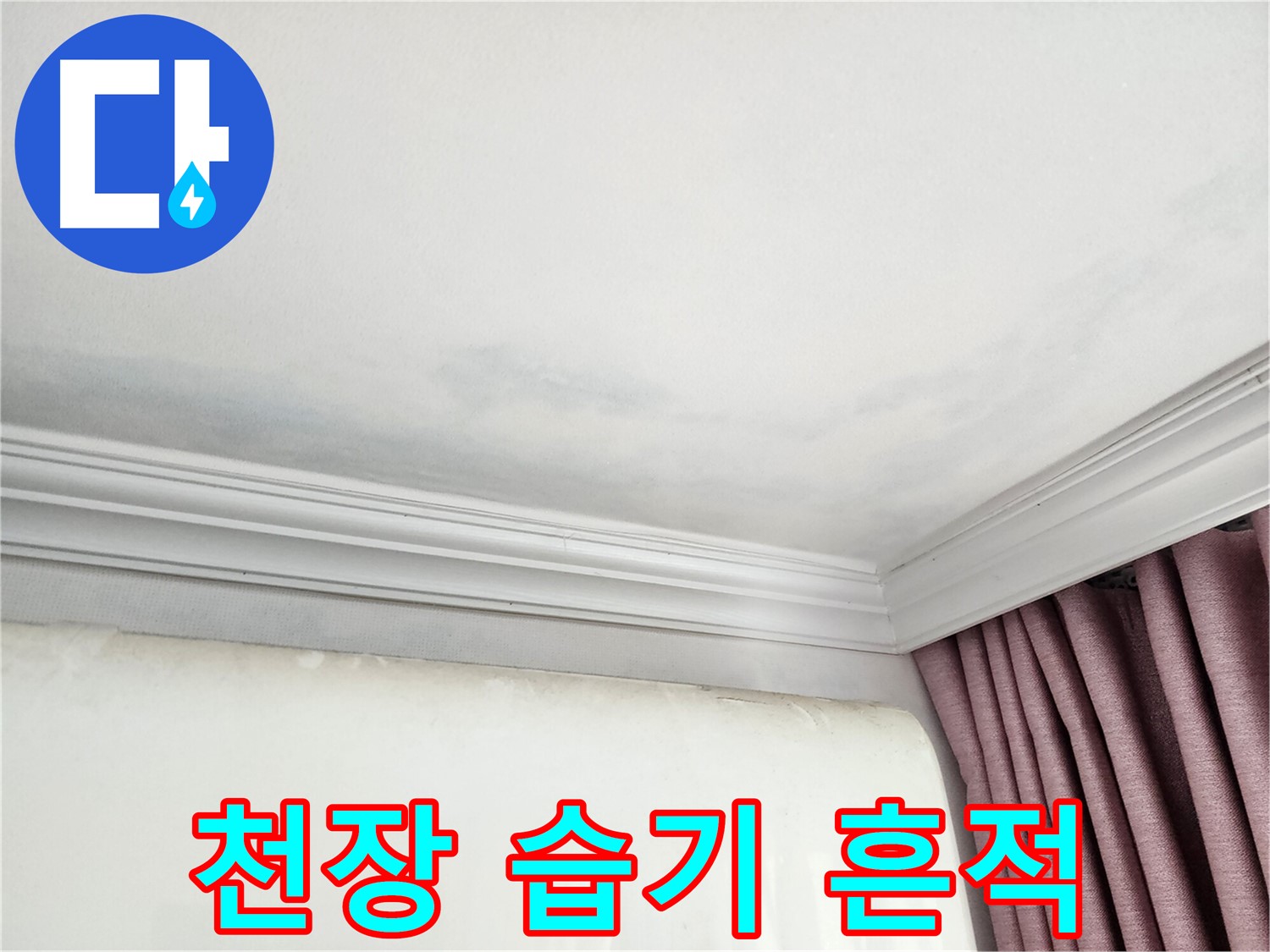 상대원동 아파트 천장 습기 흔적 - 누수 가능성 점검