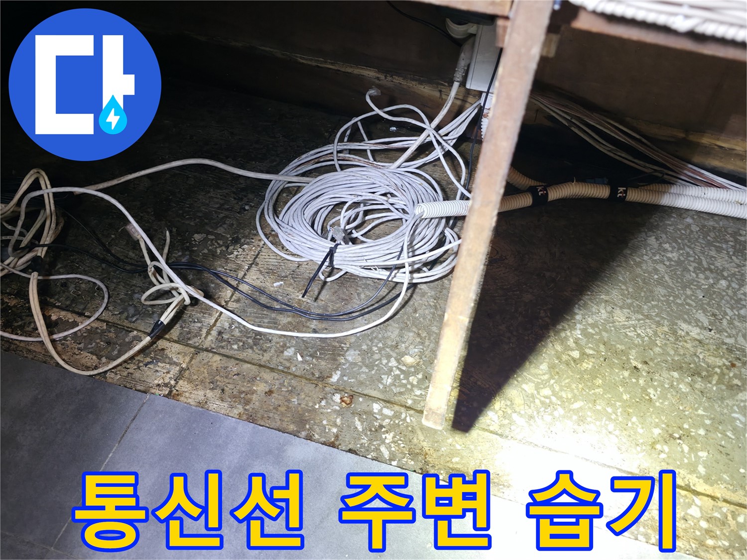 양평 옥천면 고읍리 통신선 주변 습기 - 누수 가능성 확인