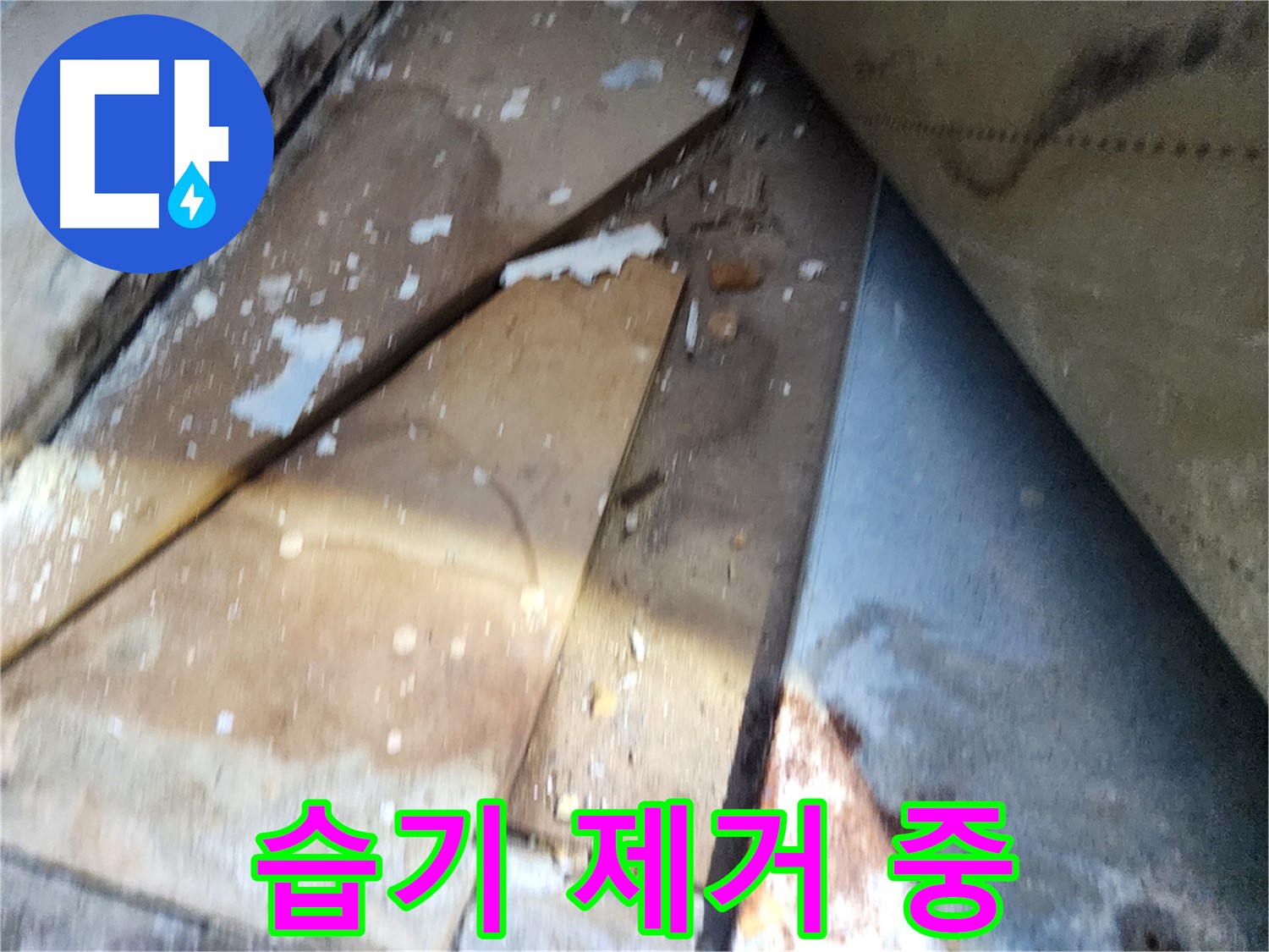 수원 누수 - 장안구 삼성아파트, 습기 제거 작업 진행