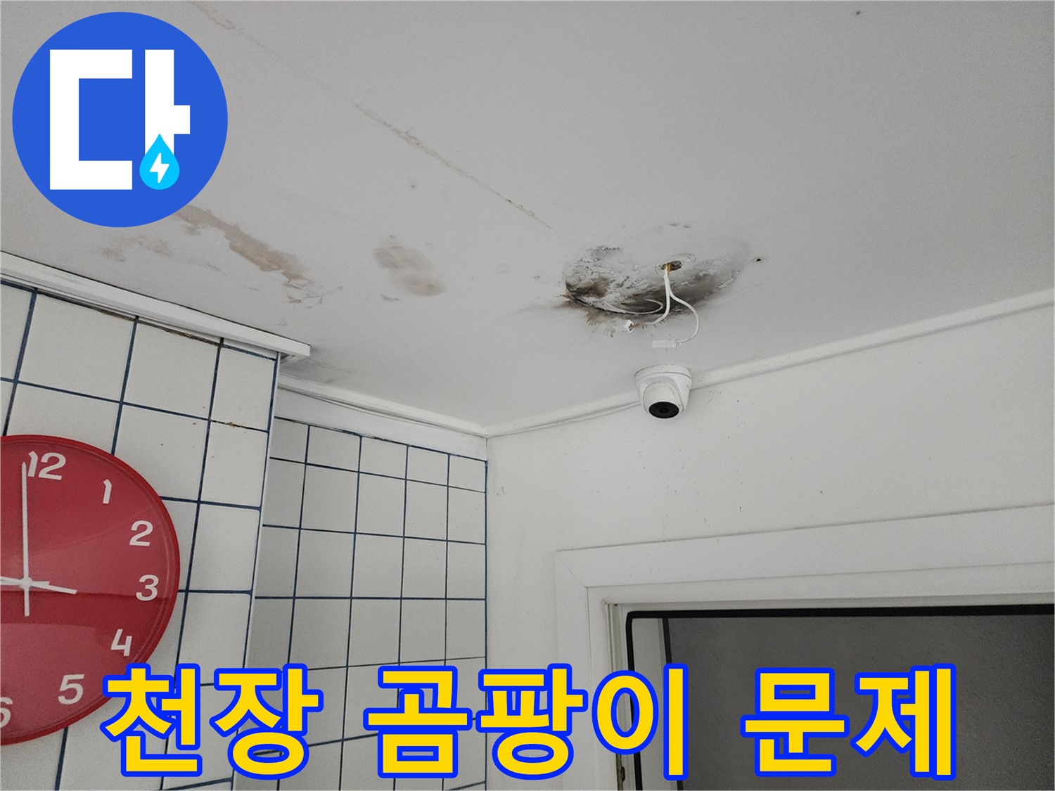 능동 주택 천장 누수 - 곰팡이 문제 해결 과정 - 깨끗하고 안전한 환경을 만들어 드립니다.