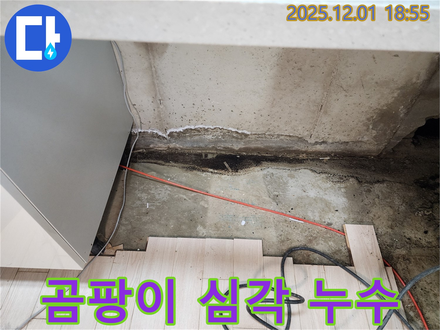 연곡리 싱크대 하부 누수 - 곰팡이 심각한 상태, 포천 누수 전문가 해결