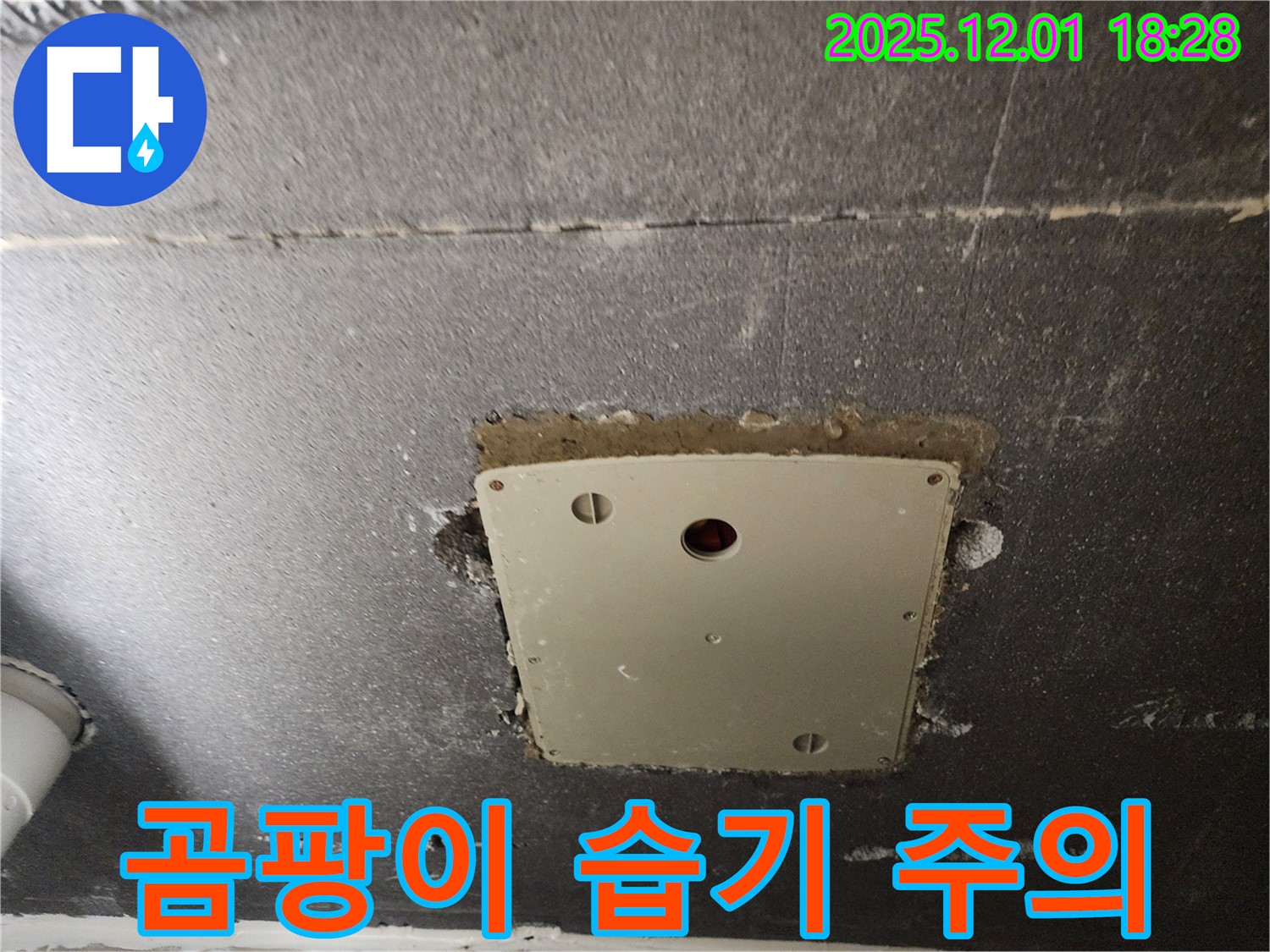 포천시 이동면 연곡리 천장 점검구 주변 곰팡이 발견 - 습기 주의가 필요합니다.
