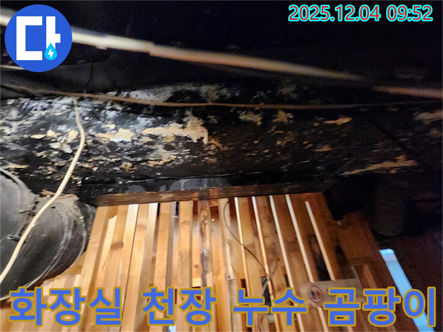 성동구 마조로 화장실 천장 누수 - 곰팡이 발생으로 긴급 누수탐지 및 공사 진행