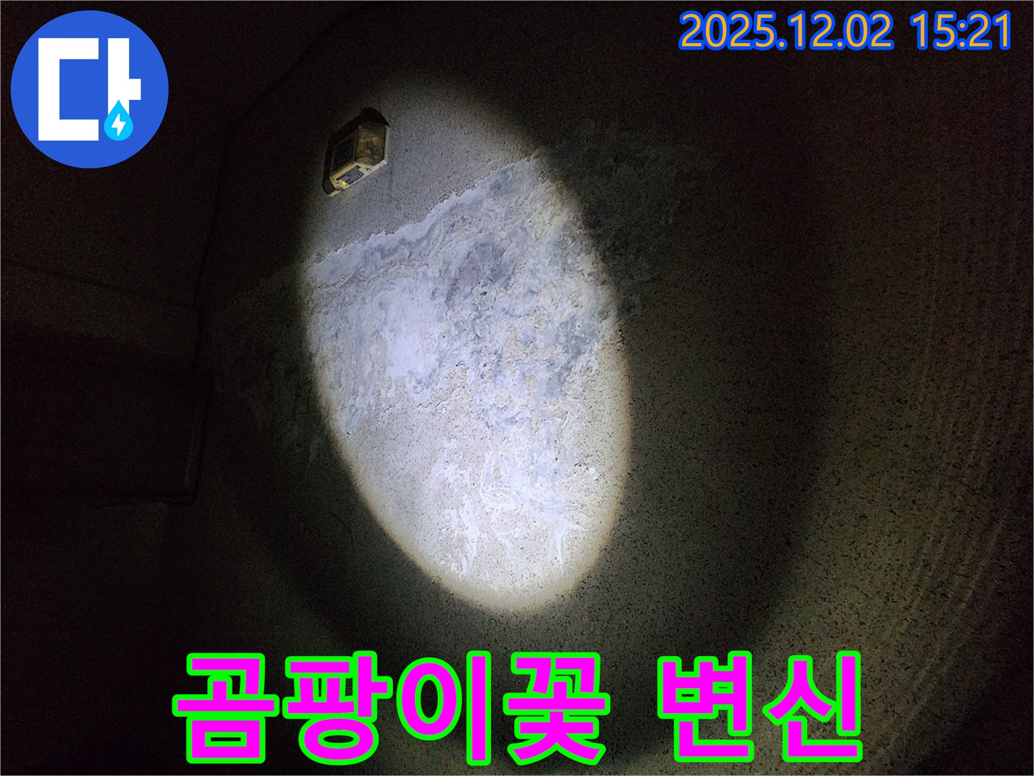 곰팡이꽃 제거 후 - 쾌적한 공간으로 변신했습니다
