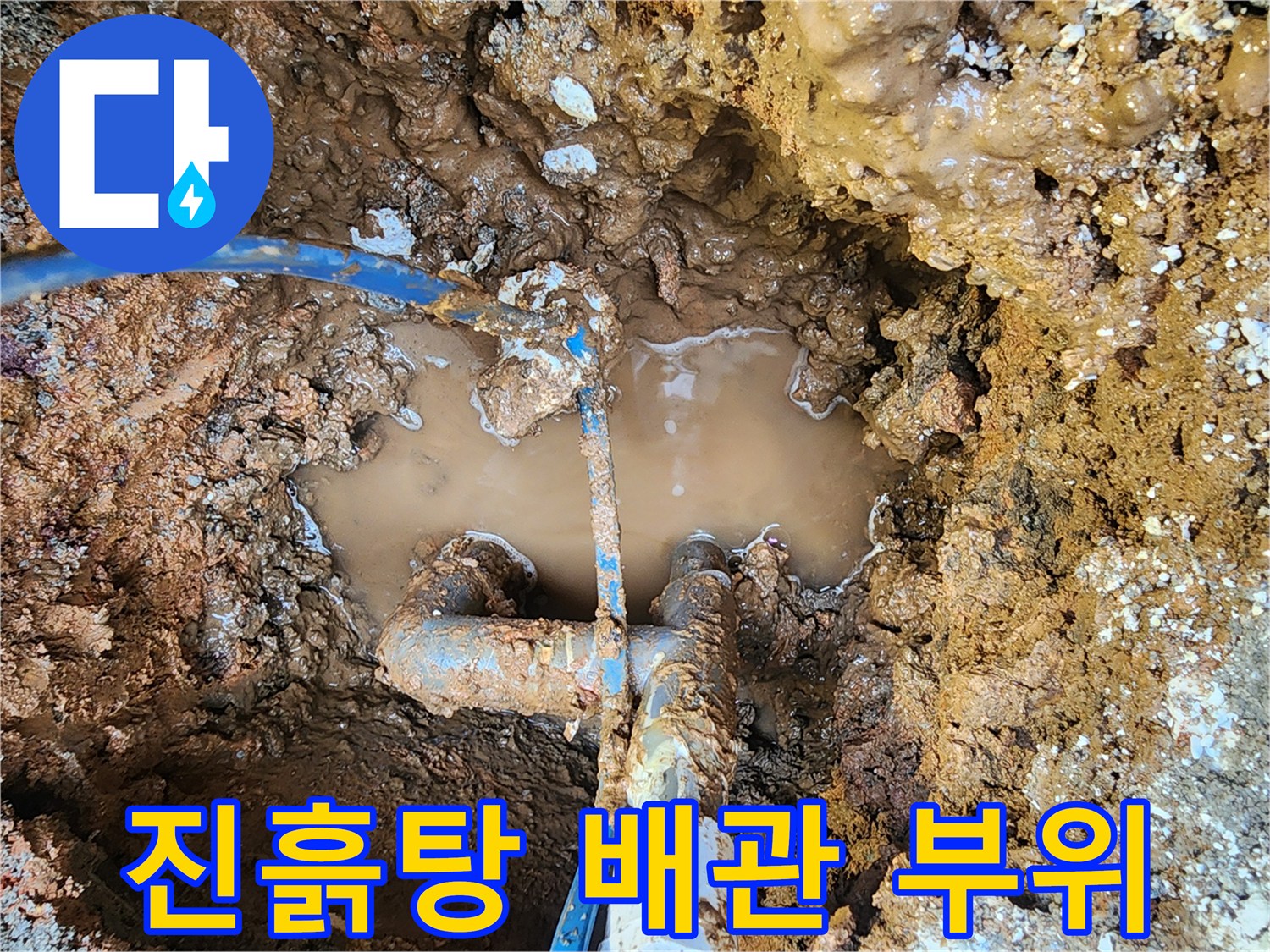 배관 주변 젖은 토양과 고인 물 - 누수 지점 진단 중
