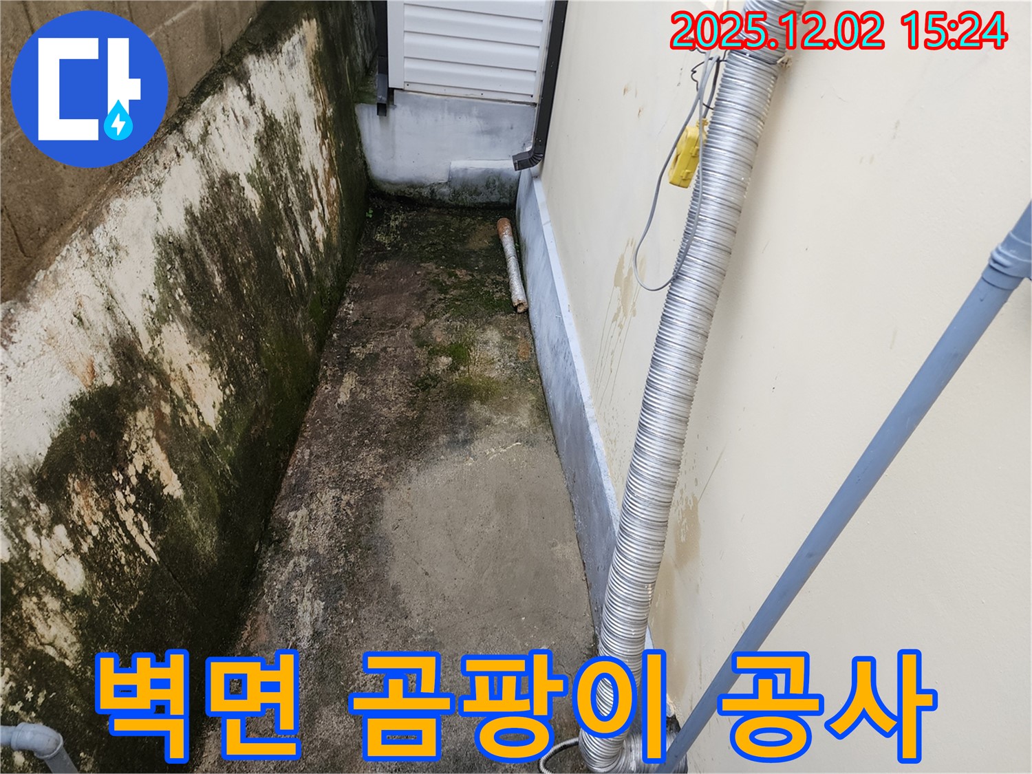 벽면 곰팡이 공사 - 완벽한 시공으로 곰팡이 걱정 없이 안심하고 생활하세요.