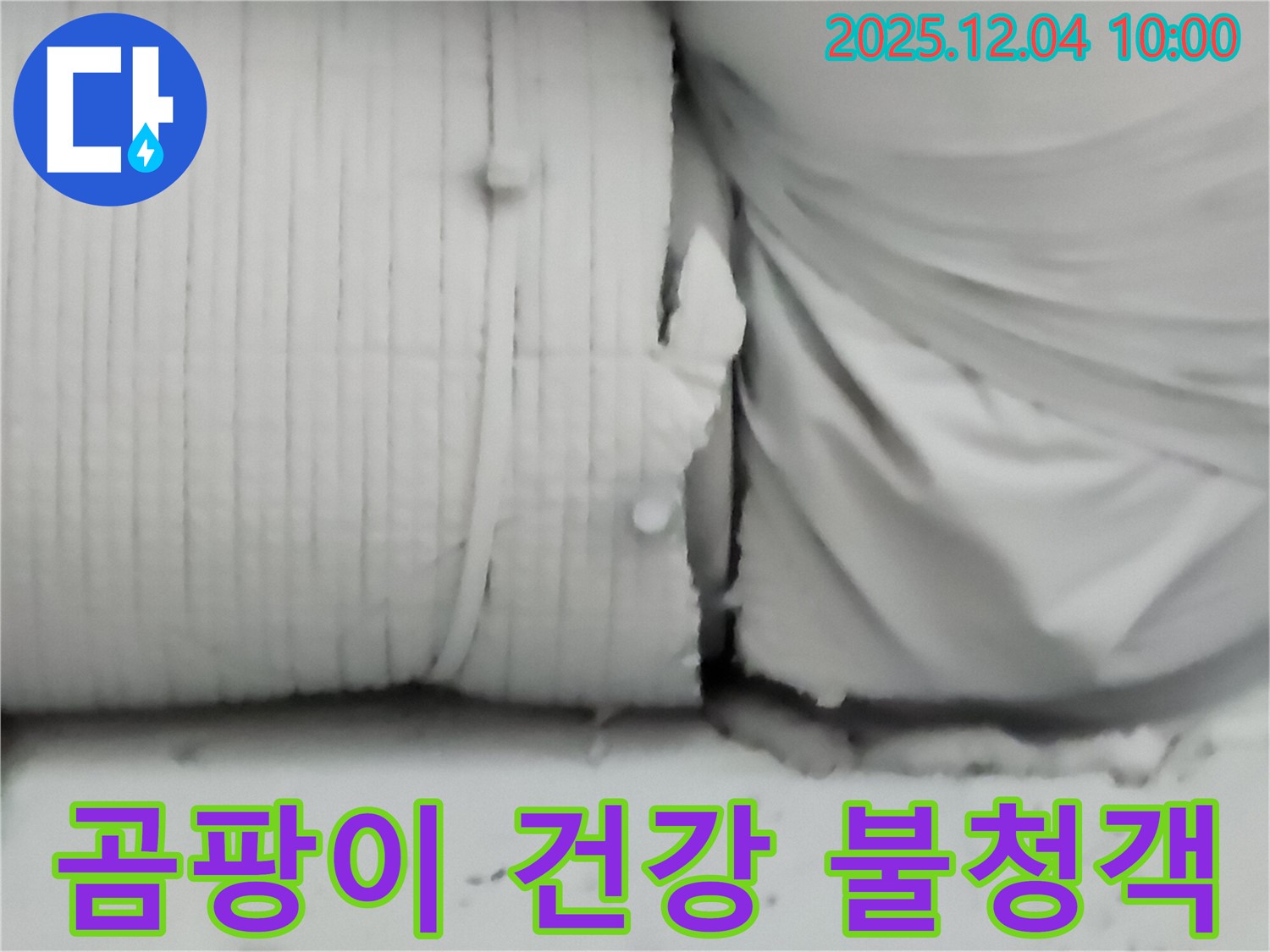 포천시 일동면 유동리 누수 현장 - 보온재 속 곰팡이는 누수의 위험 신호이자 건강까지 위협하는 불청객입니다.