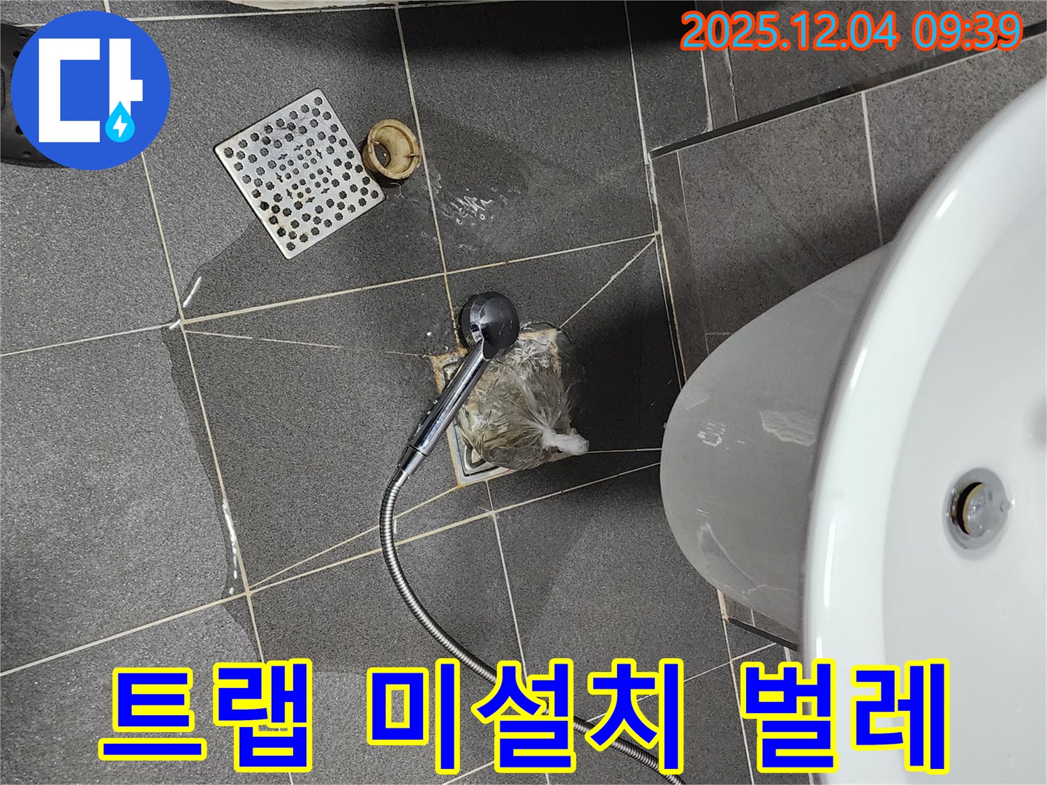 포천시 일동면 유동리 세탁실 하수구 벌레 - 하수구 트랩 미설치로 벌레 유입