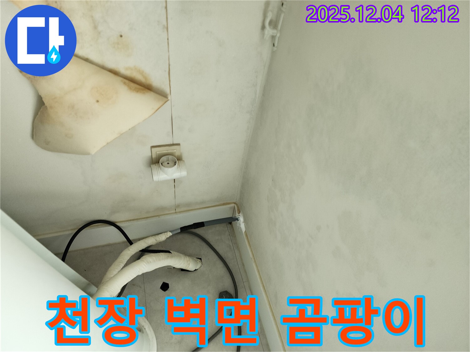 경기도 포천시 일동면 기산리 주택 누수 - 곰팡이 핀 천장과 젖은 벽면을 긴급하게 점검하고 있습니다.