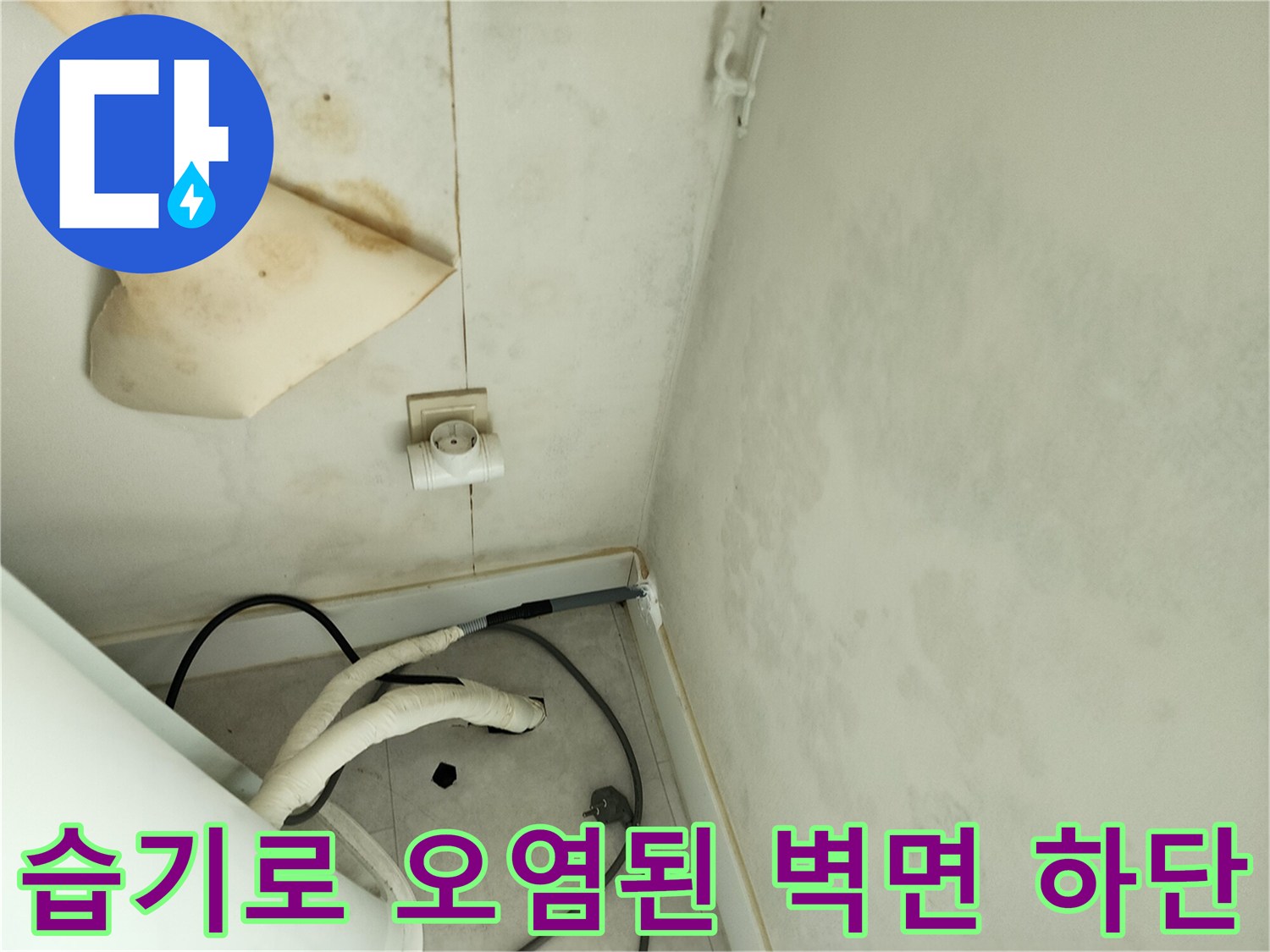 배관 주변을 따라 번진 벽지 곰팡이와 습기 침투 흔적