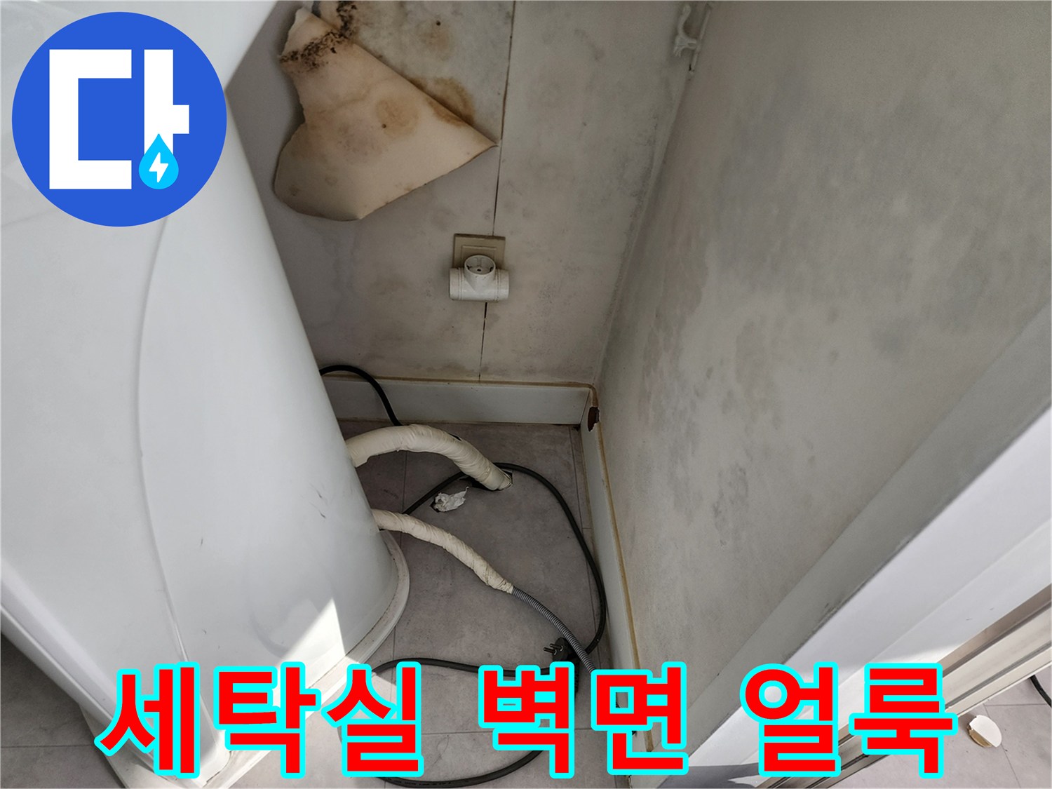 세탁실-벽면에-발생한-습기와-곰팡이-얼룩-상태