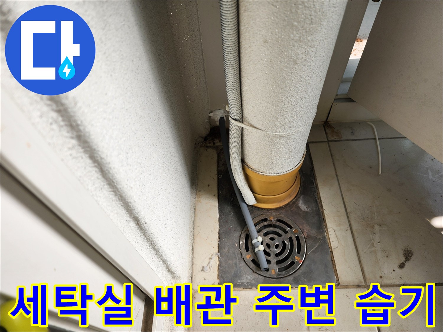일동면 현장-하수구 유가와 배관 사이의 젖은 타일 모습
