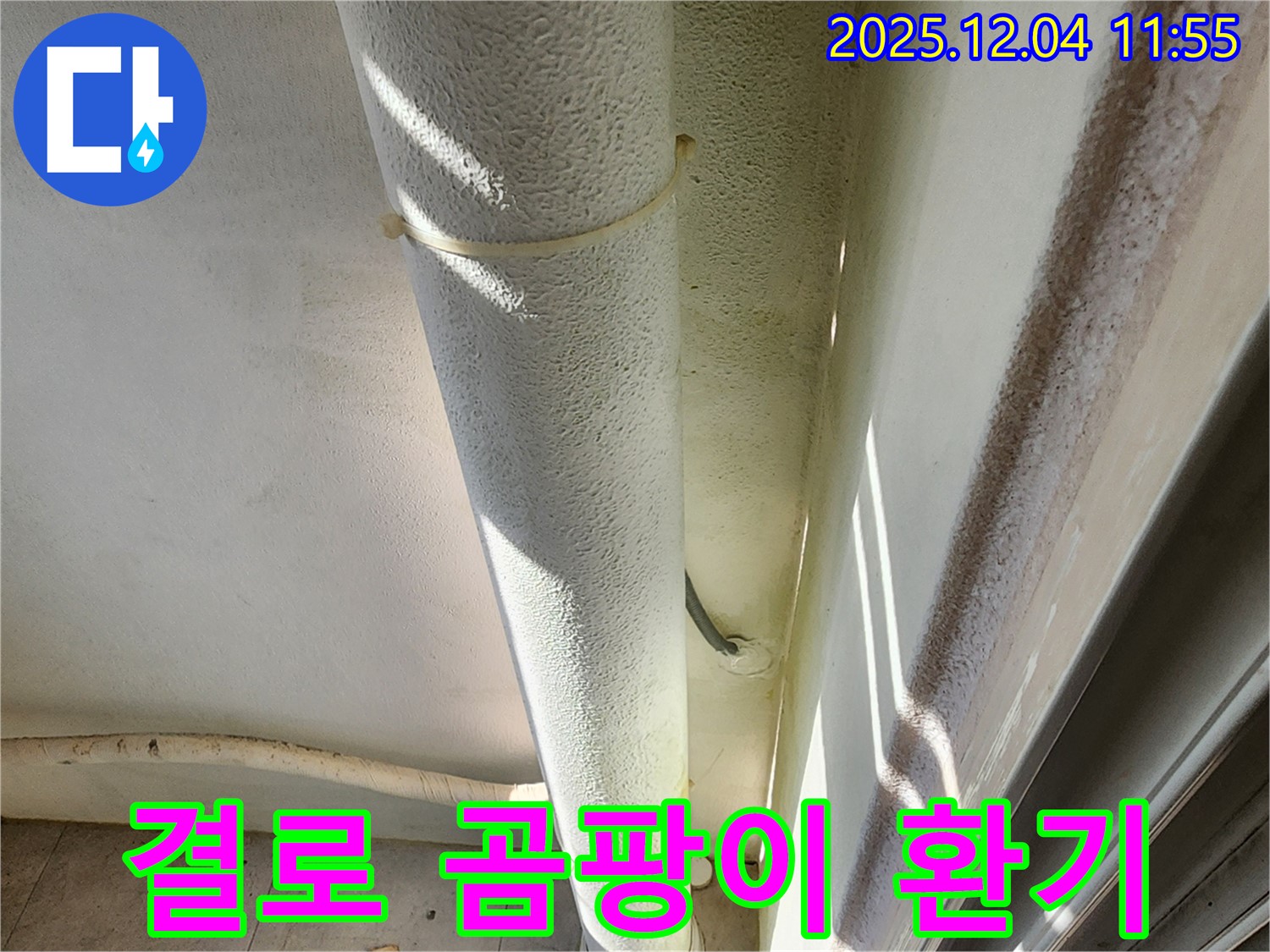 포천 기산리 누수 현장 - 배관 주변 결로 심각, 곰팡이 발생 및 건강 위협, 환기와 단열 시공이 필요합니다.