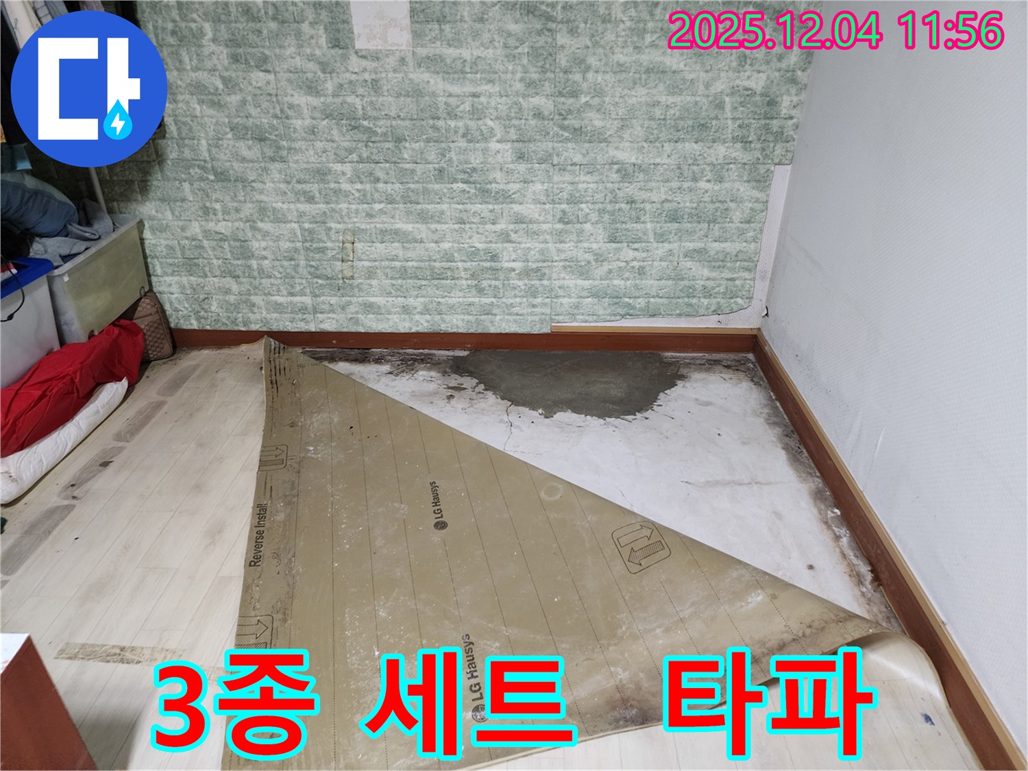 포천 누수 - 썩은 장판 곰팡이 악취 3종 세트 완벽 타파