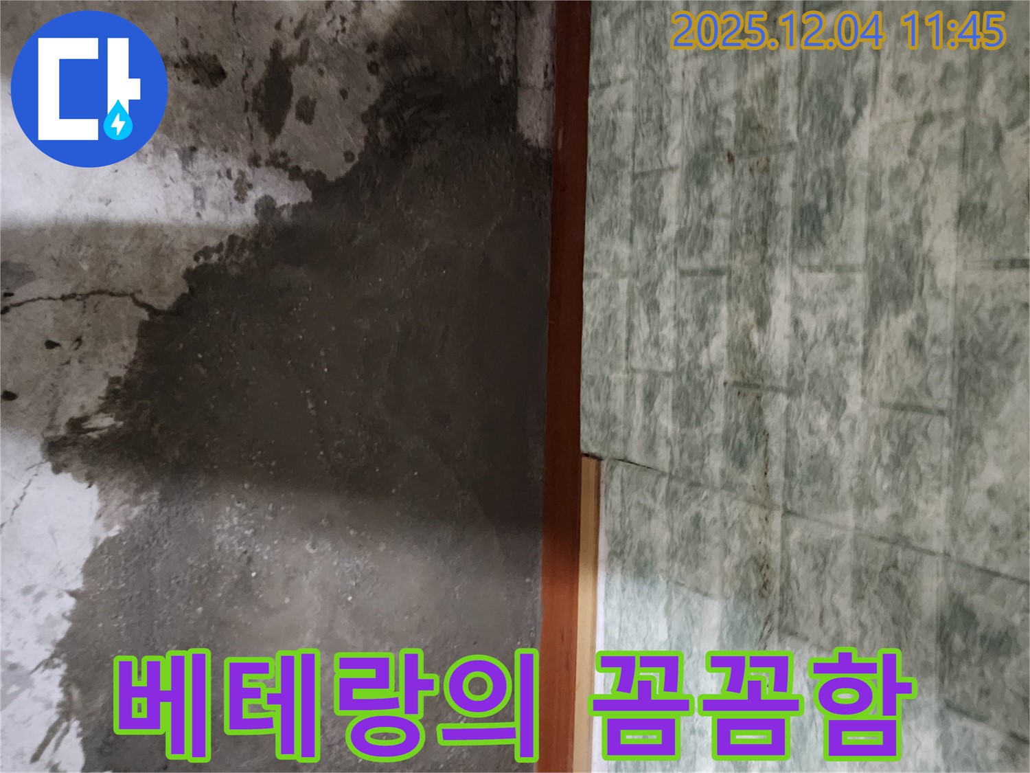포천시 일동면 기산리 누수 - 베테랑 기술자의 꼼꼼한 손길로 누수 해결