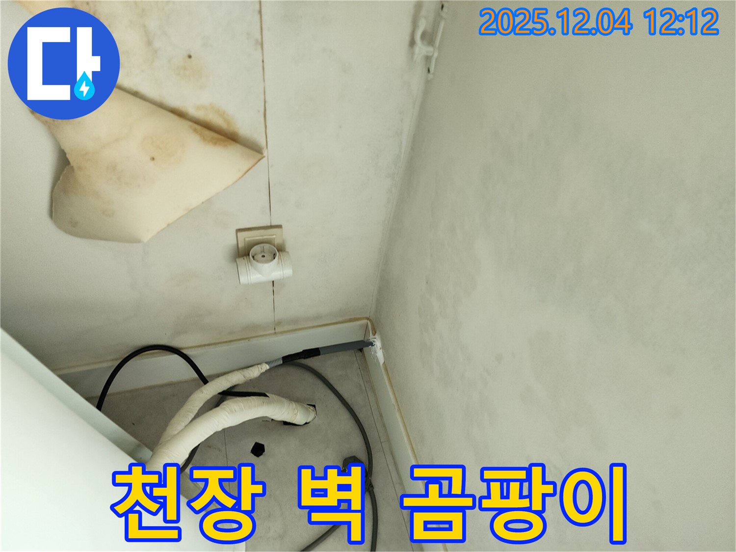 포천시 일동면 기산리 주택 - 곰팡이 핀 천장과 벽면 습기를 확인하고 누수 원인을 파악합니다.