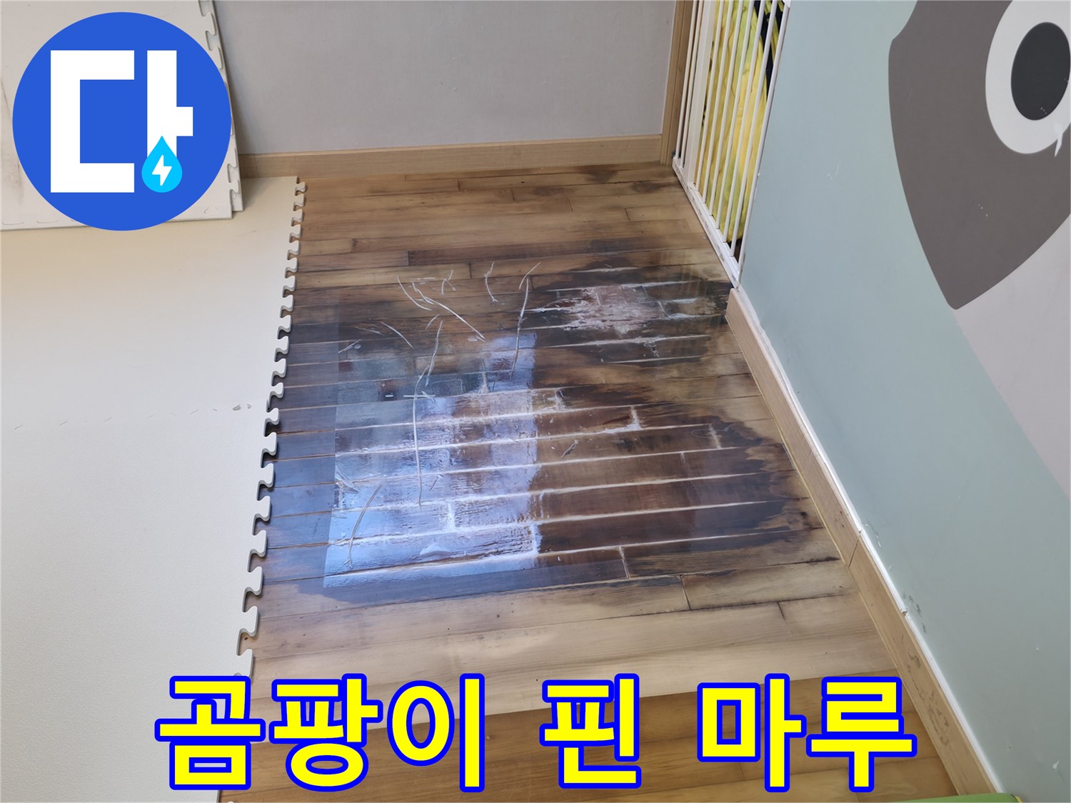 곰팡이가 심하게 핀 썩은 마루 - 누수로 인한 곰팡이 번식은 건강에 매우 해롭습니다.