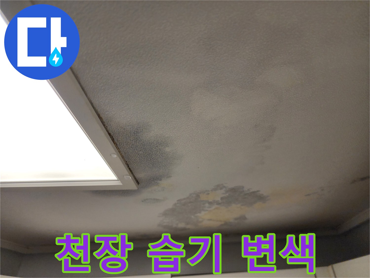 물샘으로 인해 어둡게 변한 천장 벽지 부위