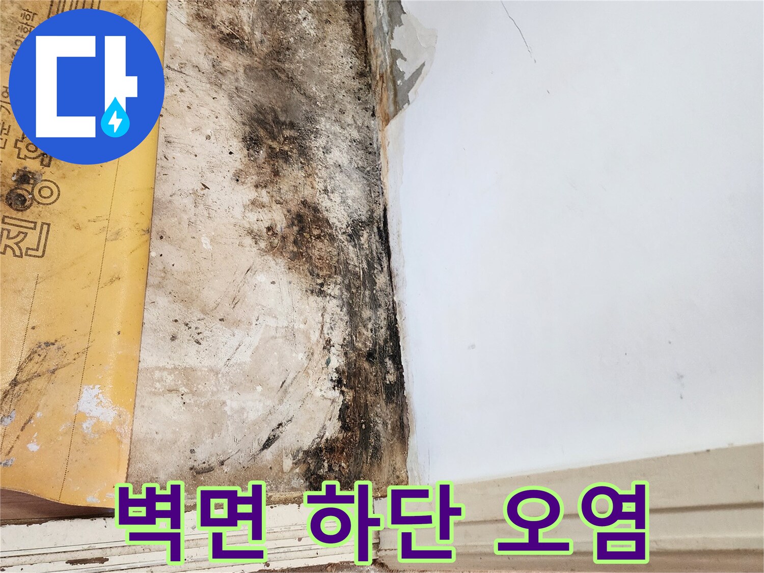 벽면 아래쪽-곰팡이와 물자국으로 인한 벽지 손상 부위