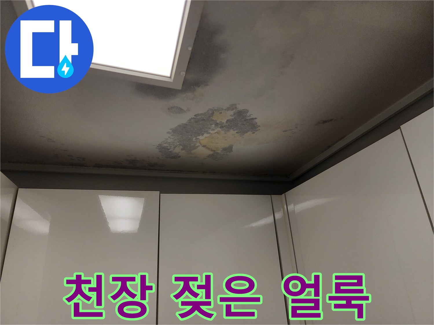 천장 마감재에 발생한 광범위한 습기 얼룩