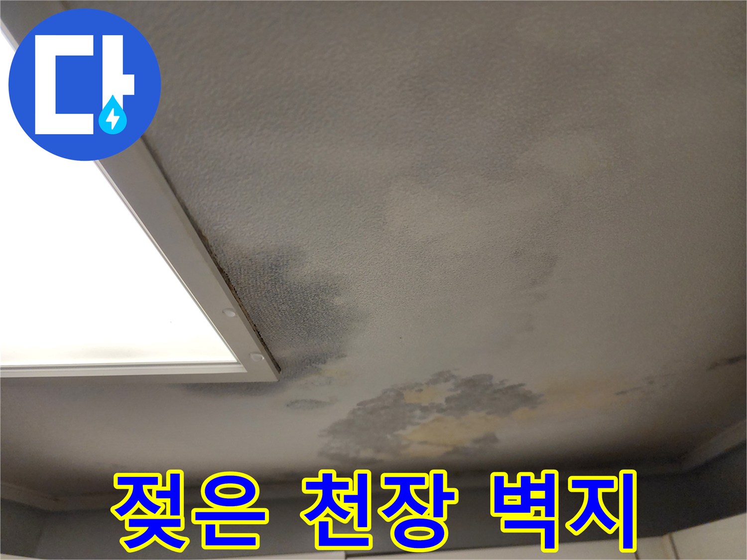 천장 벽지가 눅눅하게 젖어 얼룩진 모습