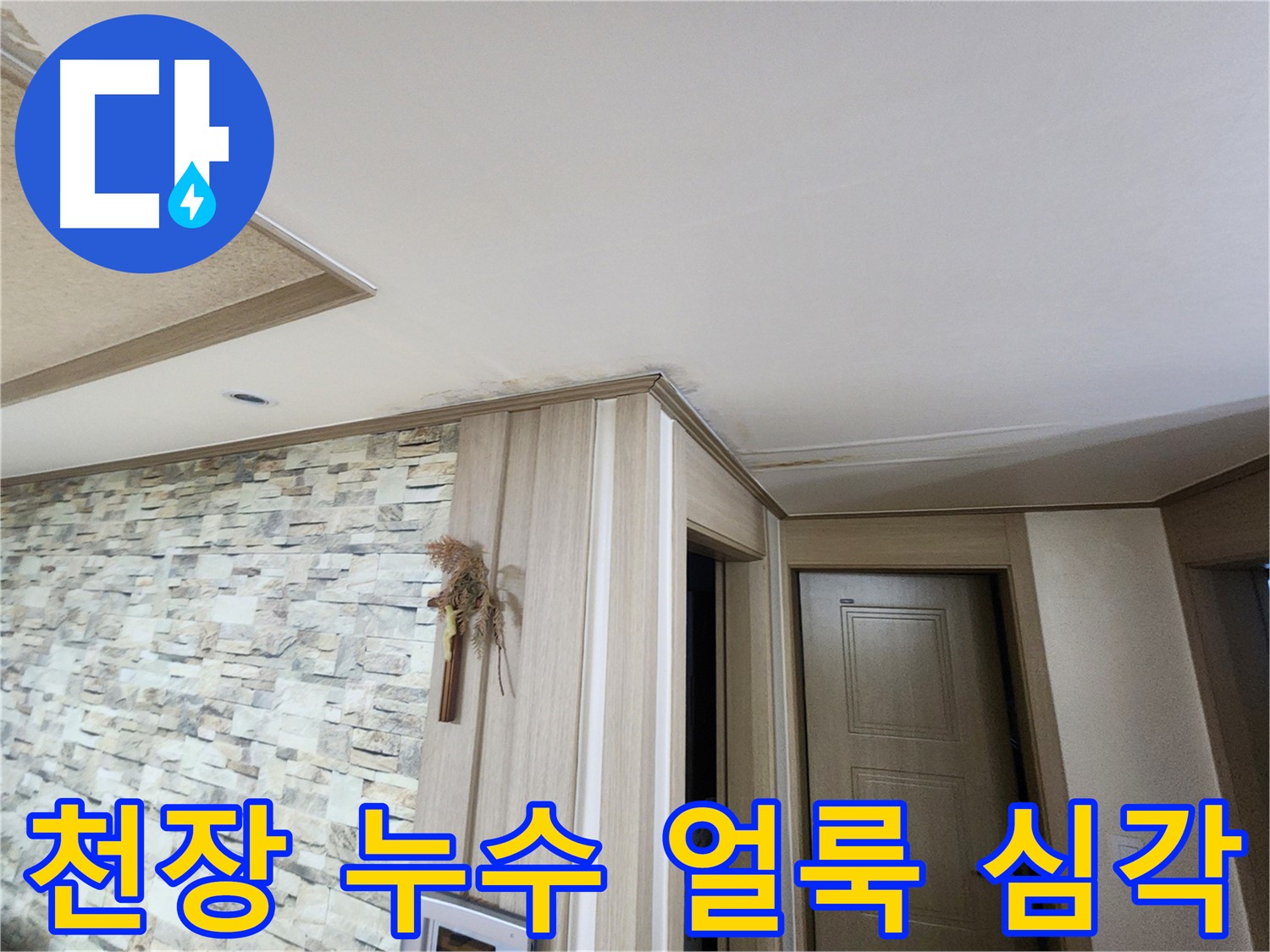 천장과 벽면에 심각한 물 얼룩 - 누수 발생 지점 확인