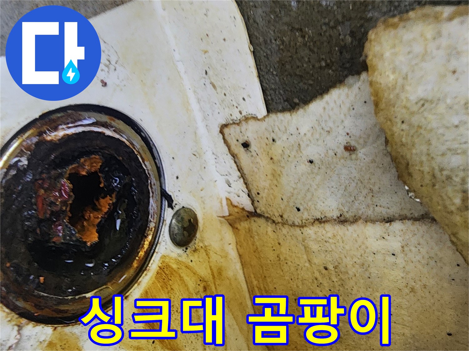 싱크대 아래 곰팡이 - 누수로 인해 발생한 곰팡이의 모습입니다. 건강에도 해로워요.