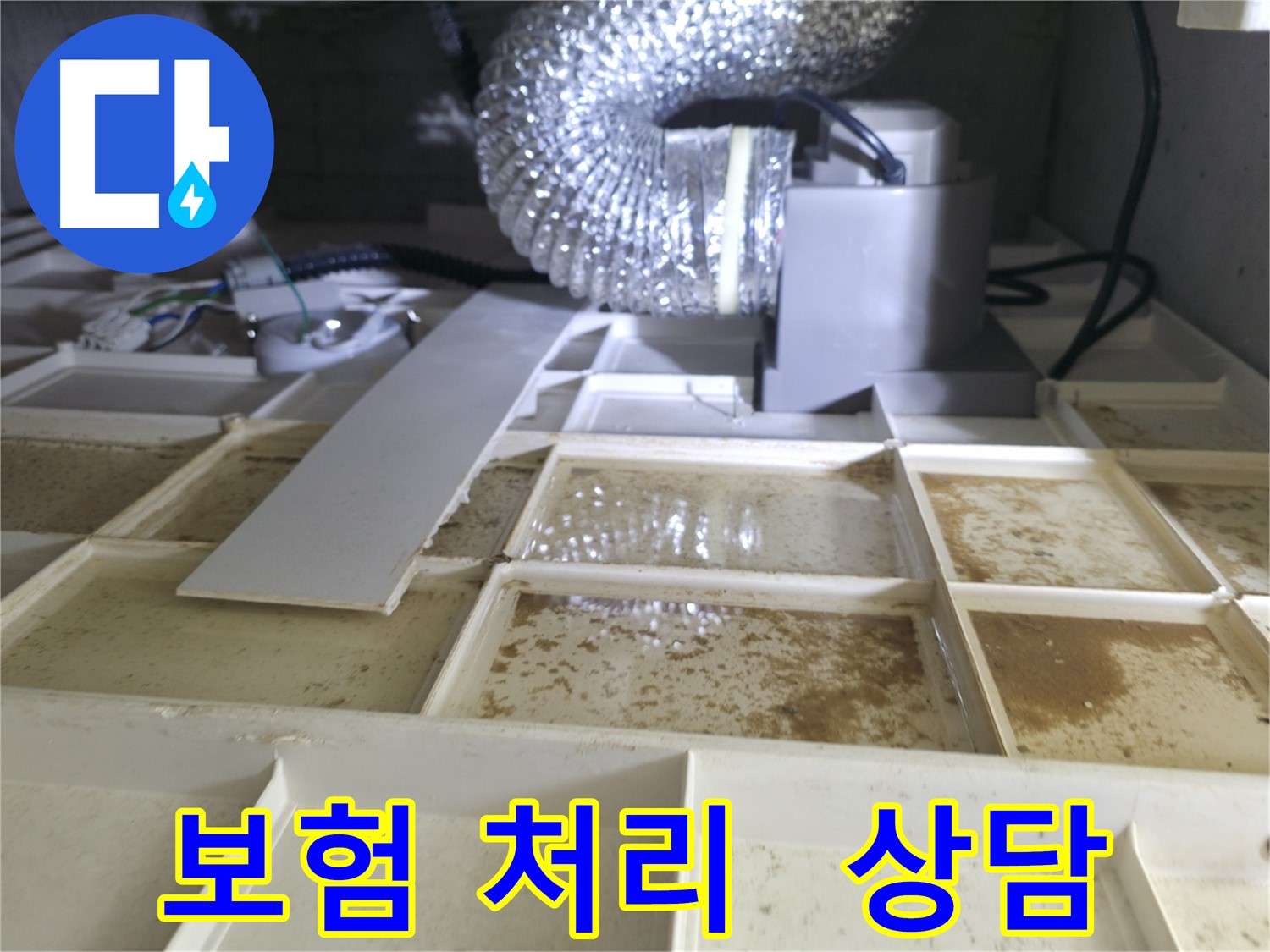 천장 속 누수 - 보험 처리 가능 여부 전문가 상담