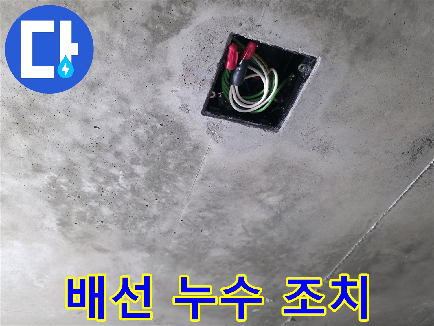 향남 누수 현장 - 천장 속 전기 배선에서 누수 흔적을 발견하고 즉시 조치하는 모습입니다 - 안전이 최우선!