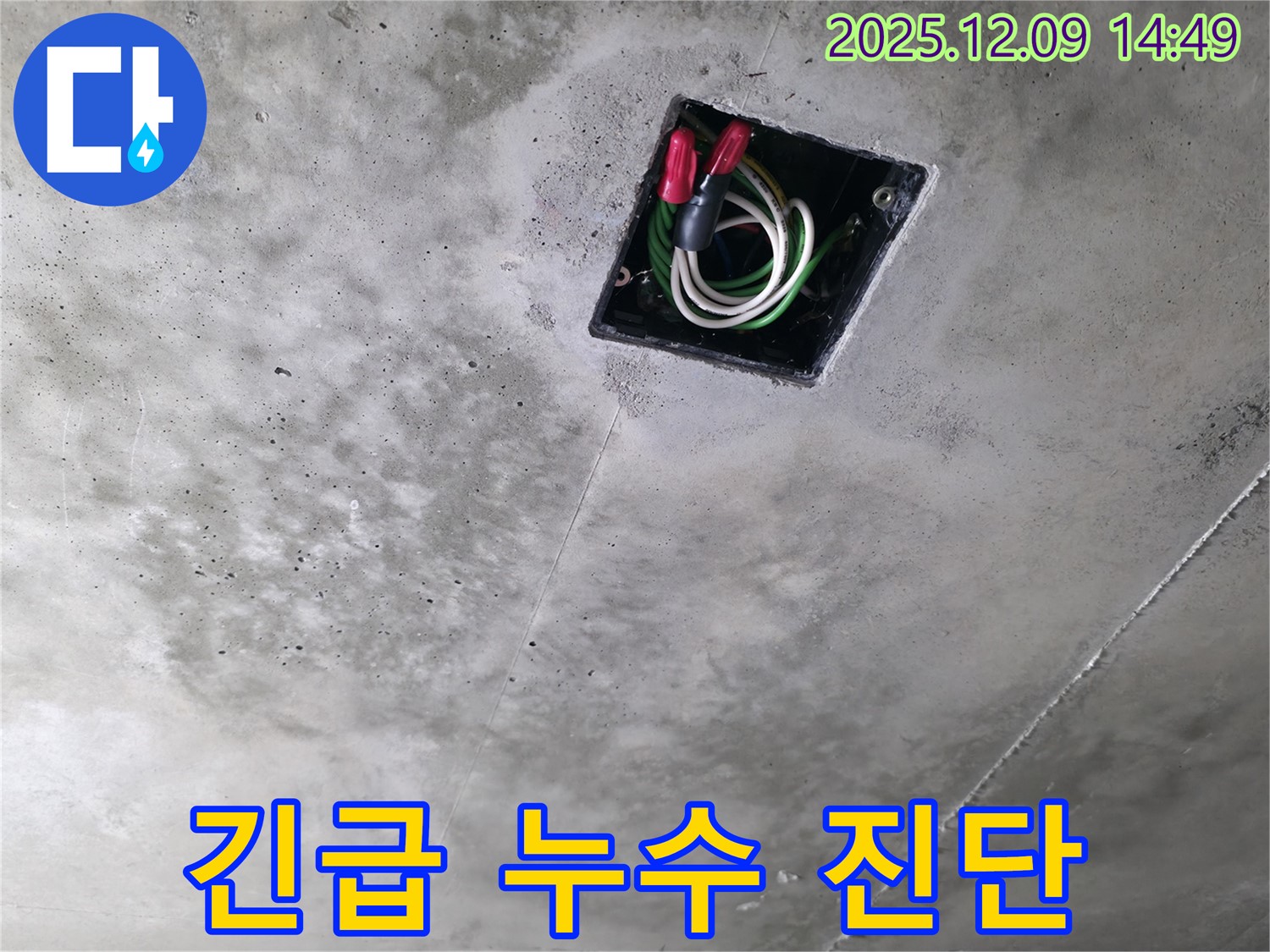 향남 에일린의뜰 아파트 천장 배선 누수 긴급 진단 - 누수 발생 즉시 신속하게 점검합니다.