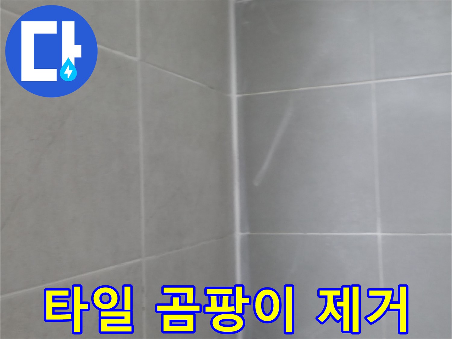 향남 샤워기 벽 매립 누수 - 꼼꼼한 점검과 완벽 시공