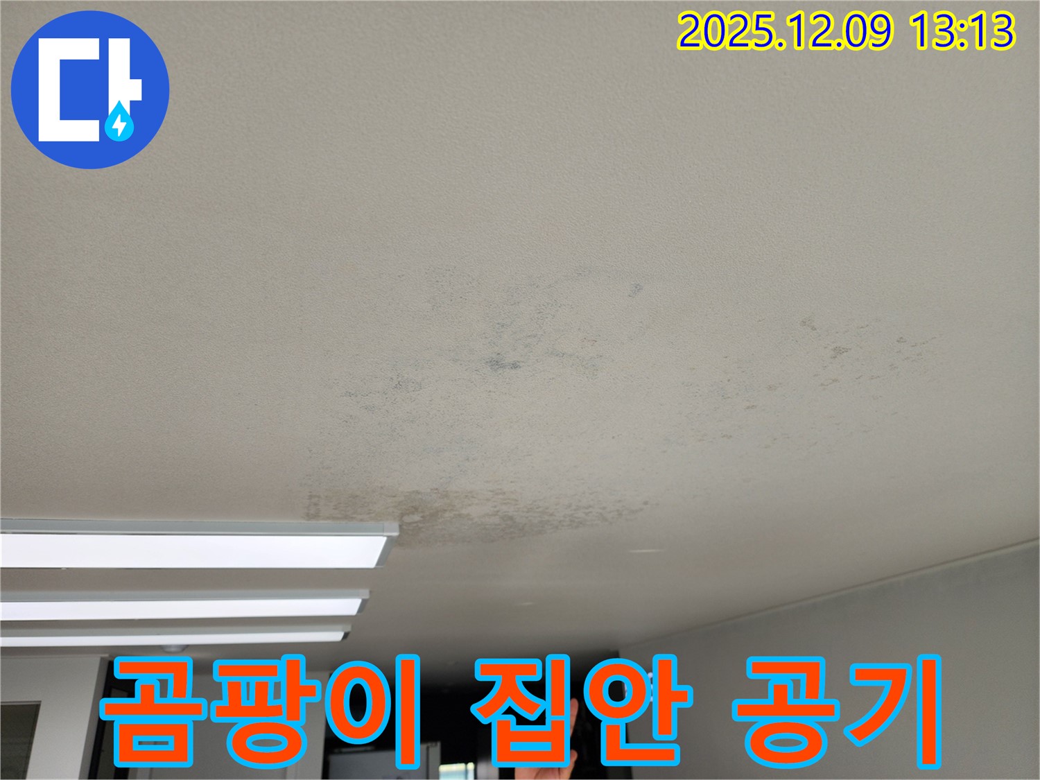 경기도 포천시 영중면 성동리 - 곰팡이, 집 안 공기를 망치는 천장 누수