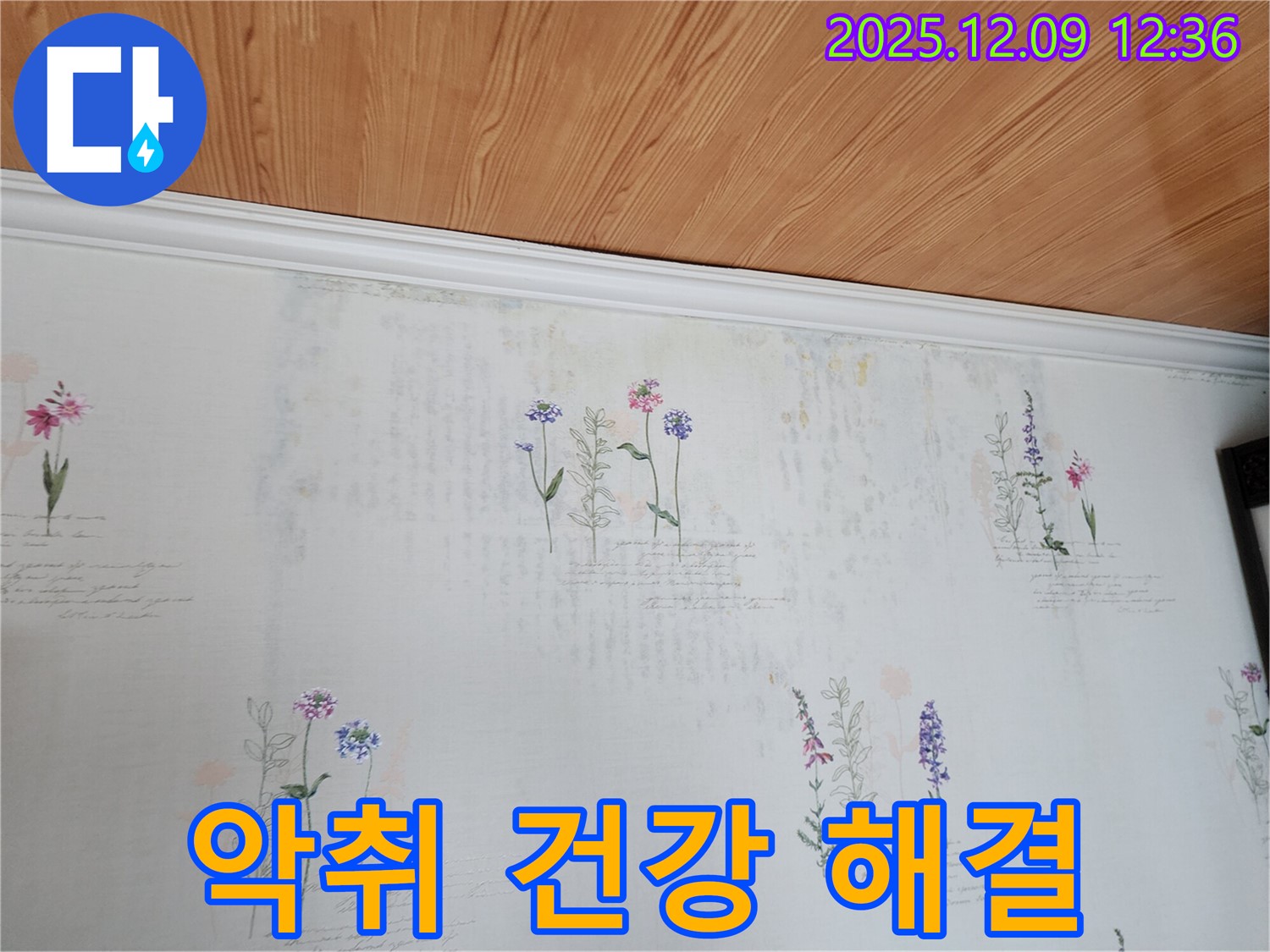 성동리 누수 문제 해결 전문 - 곰팡이 악취 벽지 문제의 근본 원인인 누수를 확실하게 해결하여 가족 건강을 지키는 완벽한 누수 공사