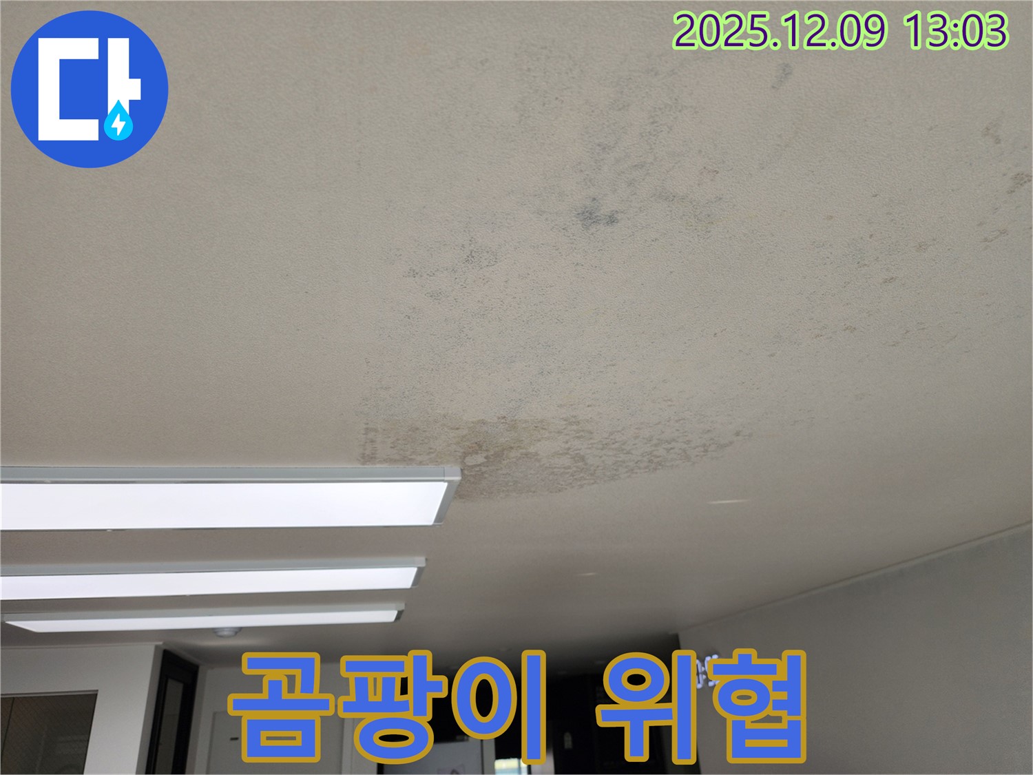 성동리 - 천장 누수 곰팡이 냄새 건강 위협